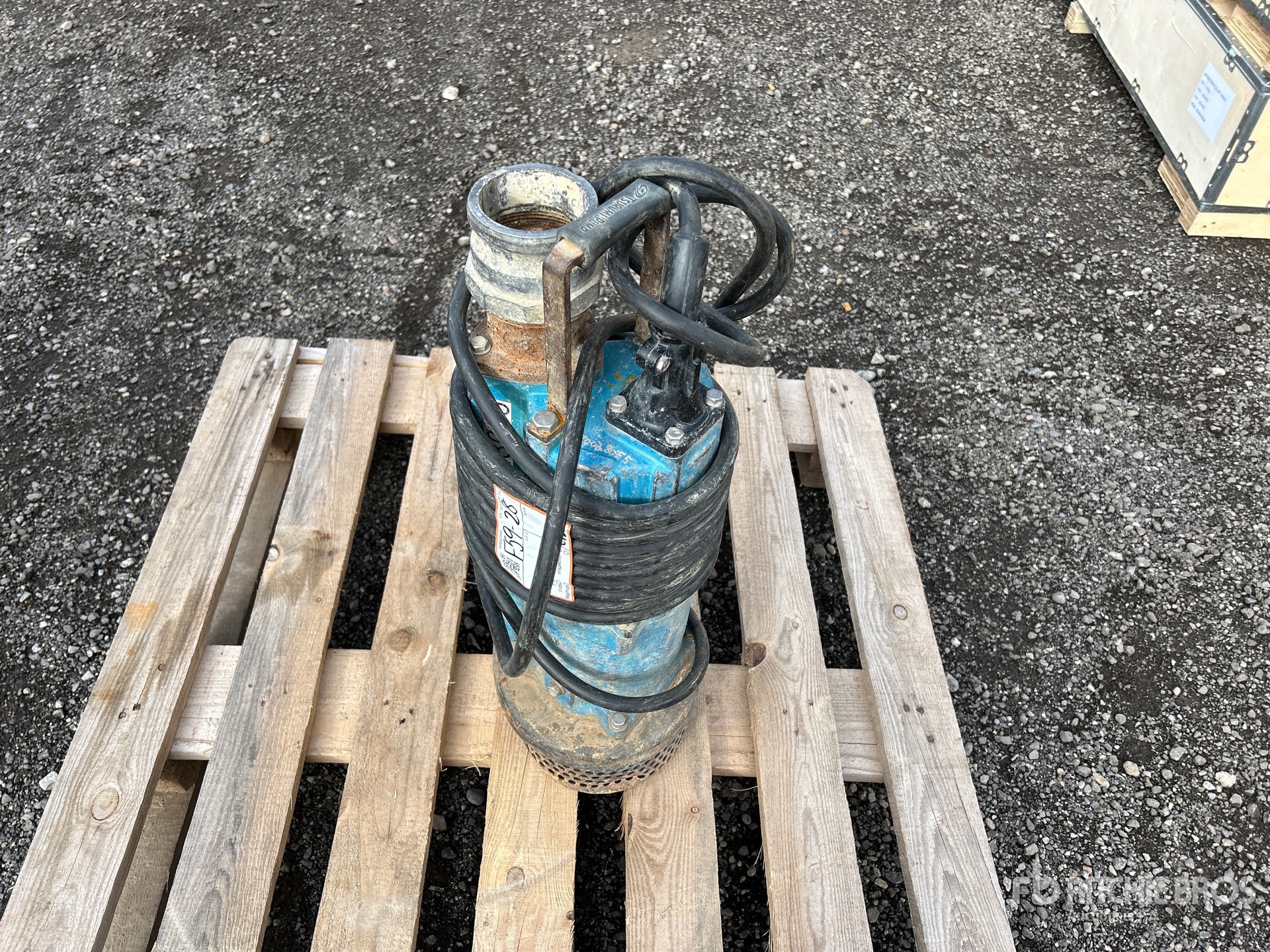 General Appearance with Foto, angolo anteriore sinistro