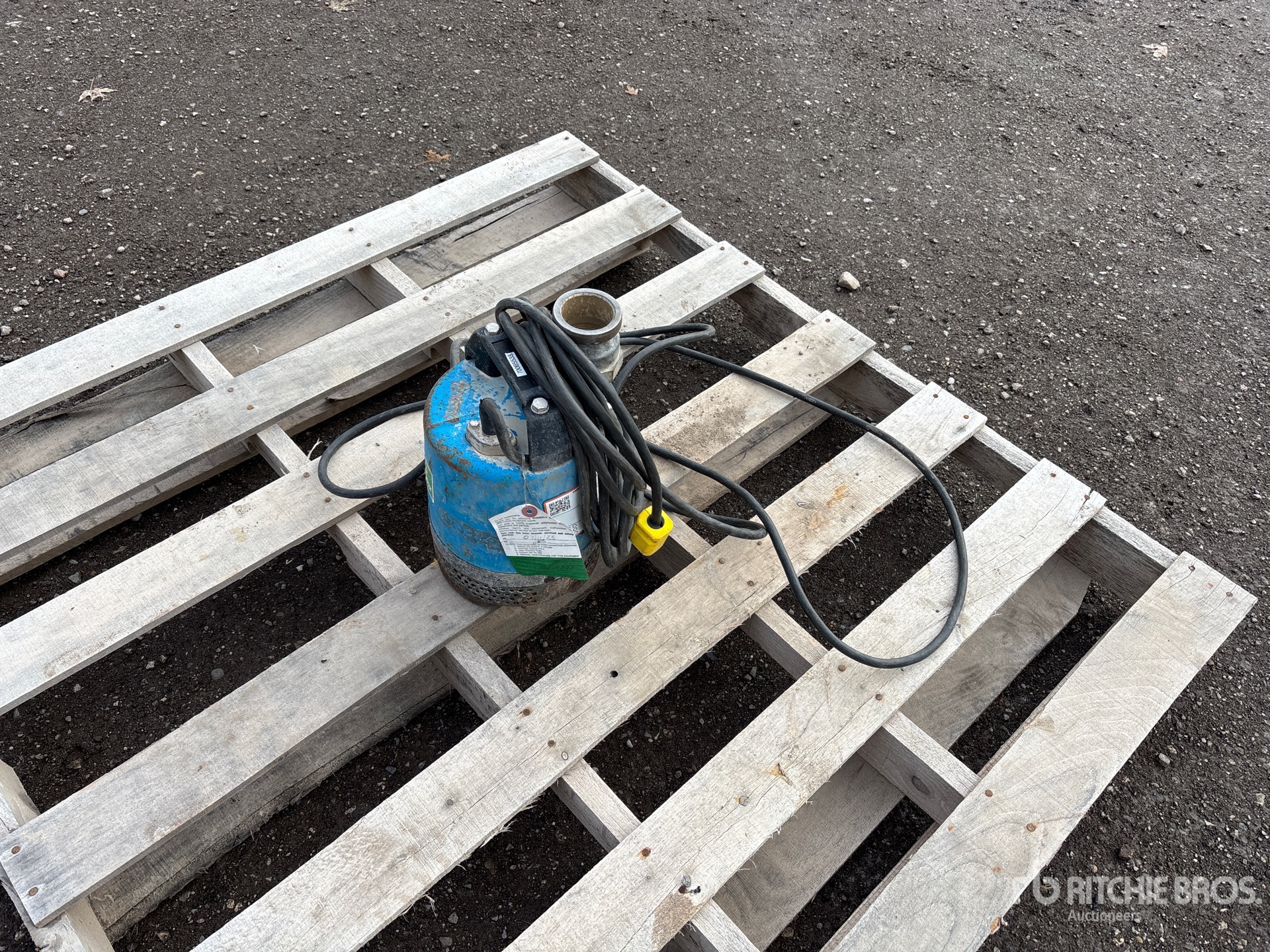 General Appearance with Bild, Ecke vorne links