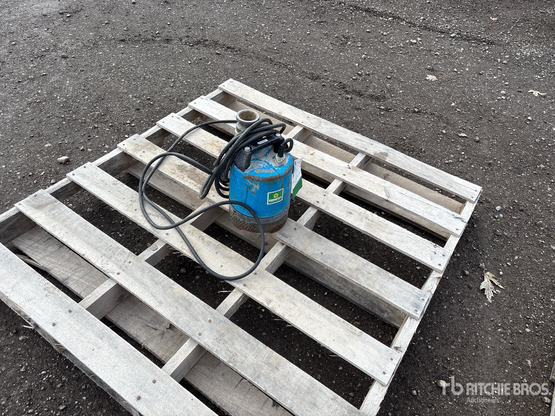 General Appearance with Bild, Ecke hinten links