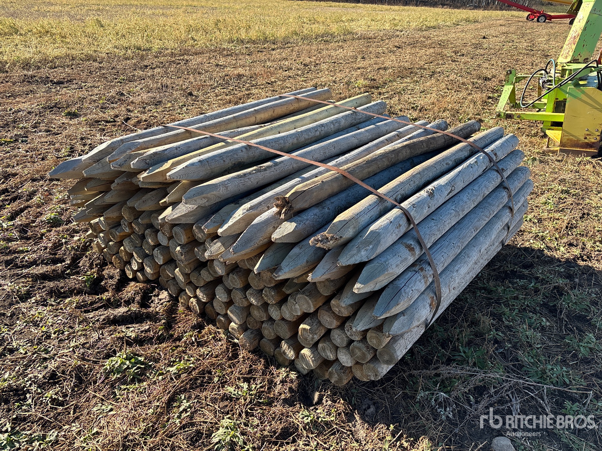 General Appearance with Bild, Ecke vorne links