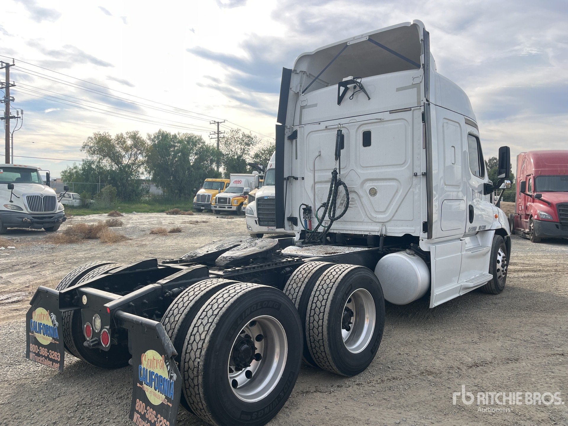 General Appearance with Zdjęcie, prawy dolny róg