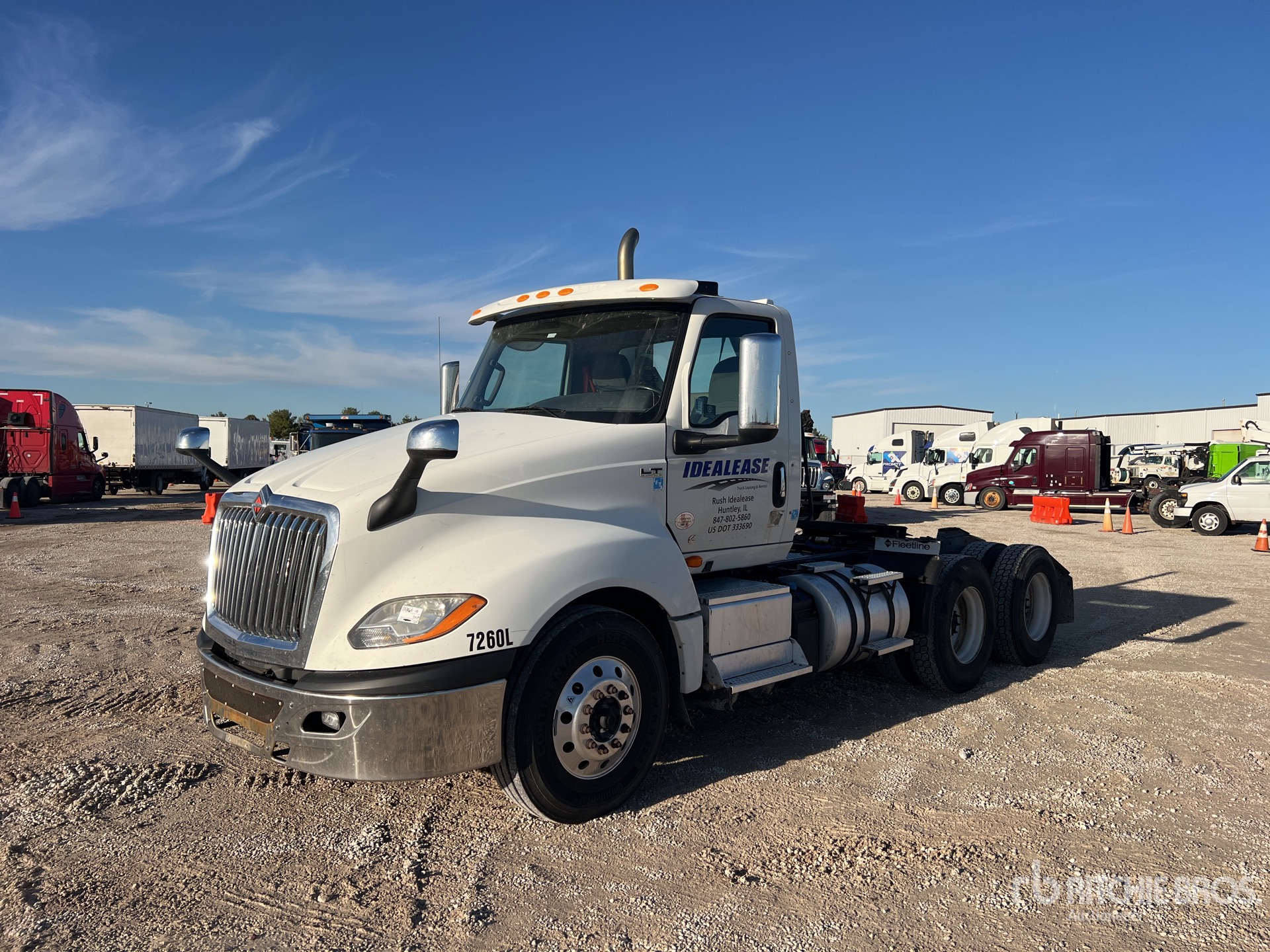 General Appearance with Spin