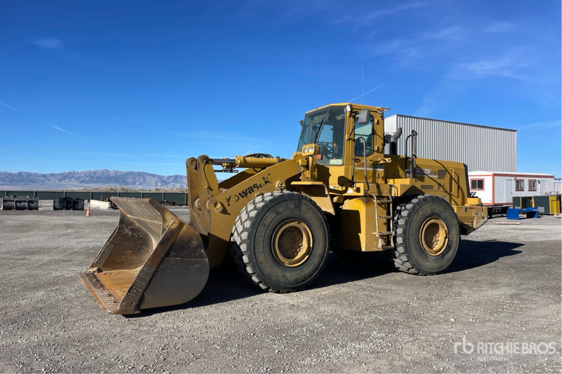 General Appearance with Spin