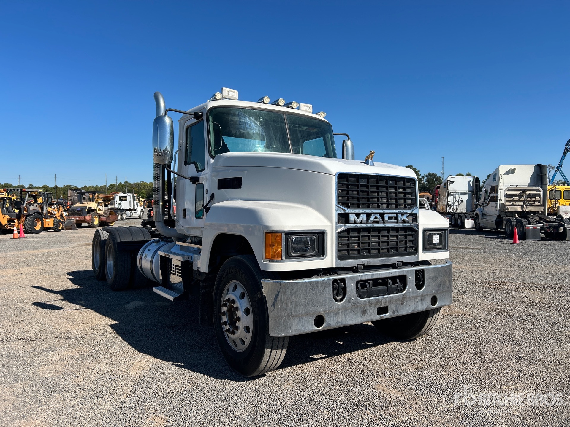 General Appearance with Zdjęcie, prawy górny róg