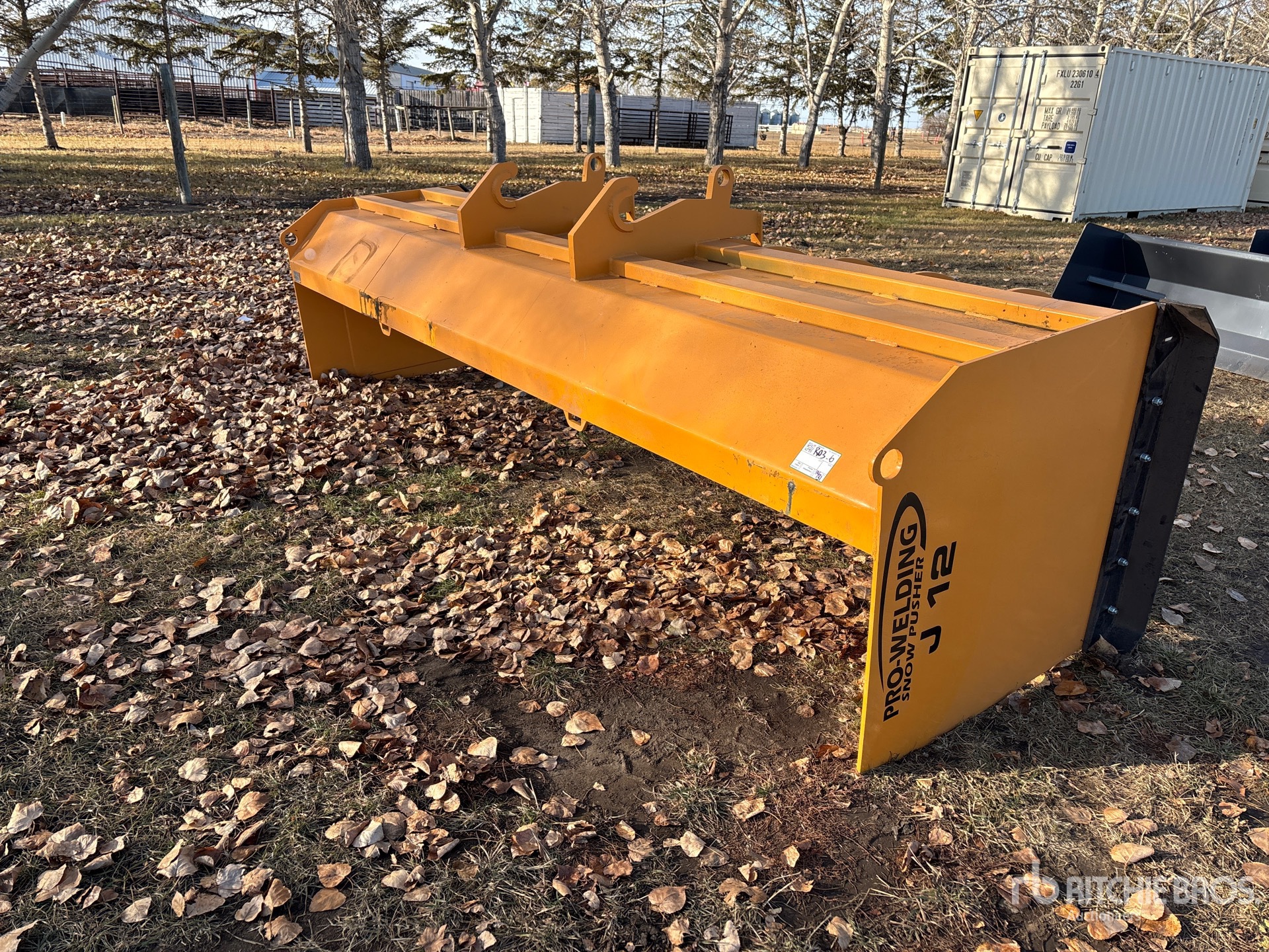 General Appearance with Bild, Ecke vorne links