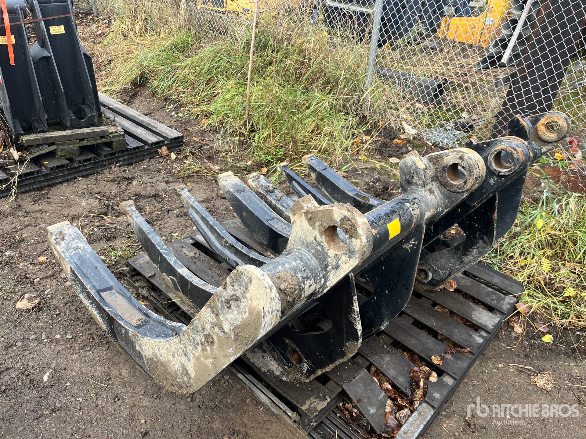 General Appearance with Zdjęcie, lewy dolny róg