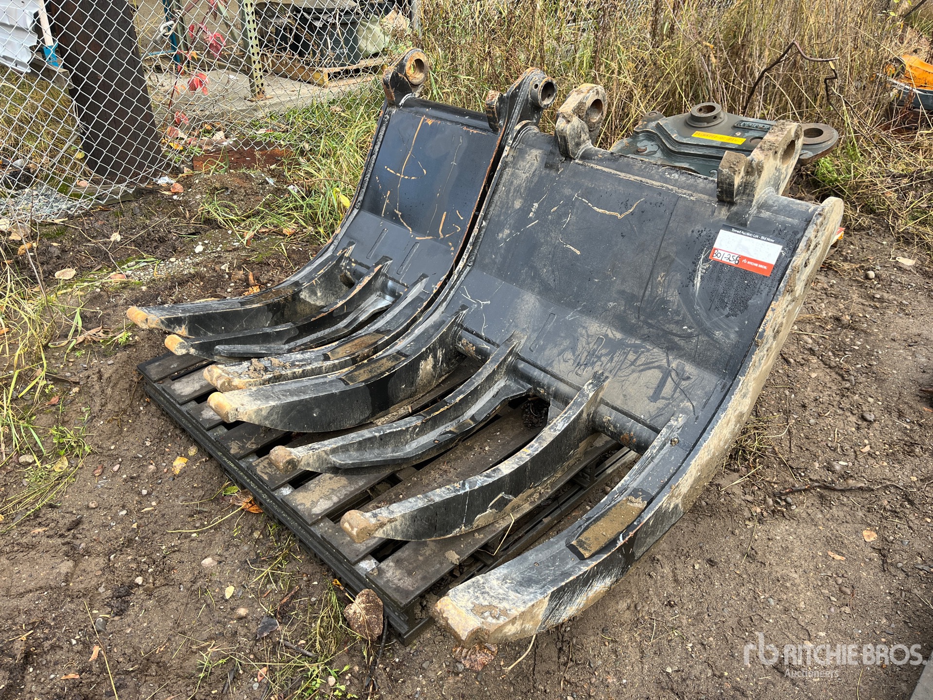 General Appearance with Zdjęcie, lewy górny róg