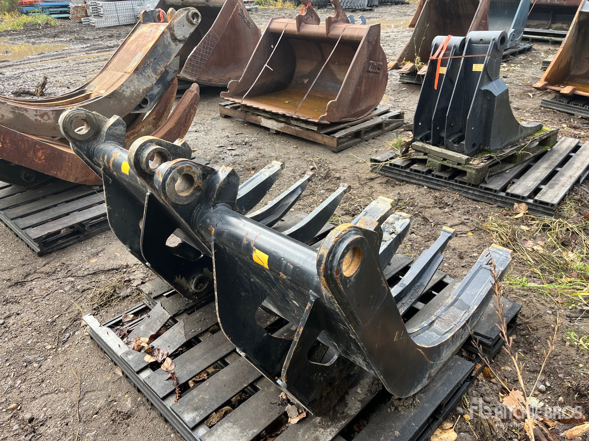 General Appearance with Zdjęcie, prawy dolny róg