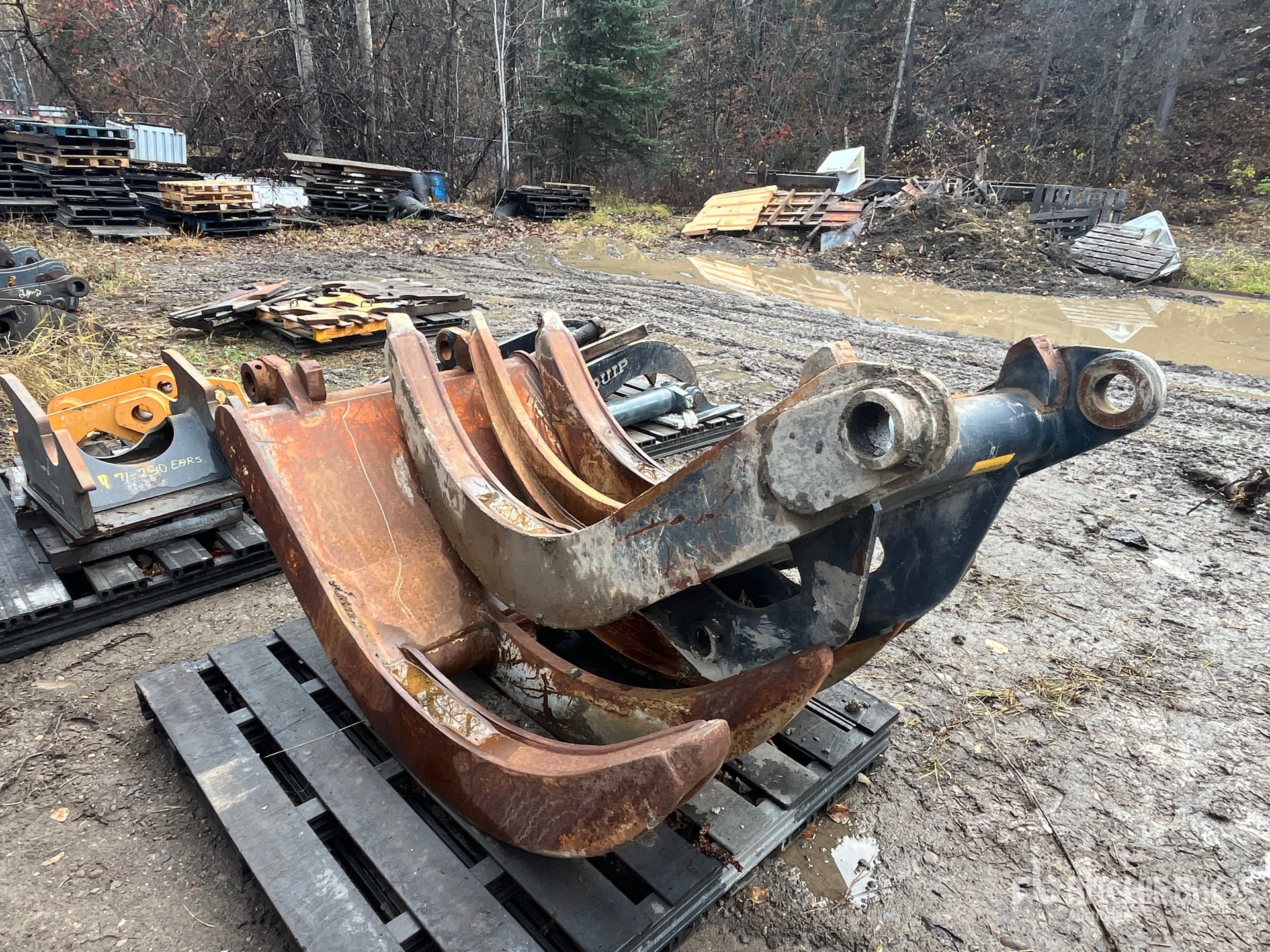 General Appearance with Zdjęcie, prawy dolny róg