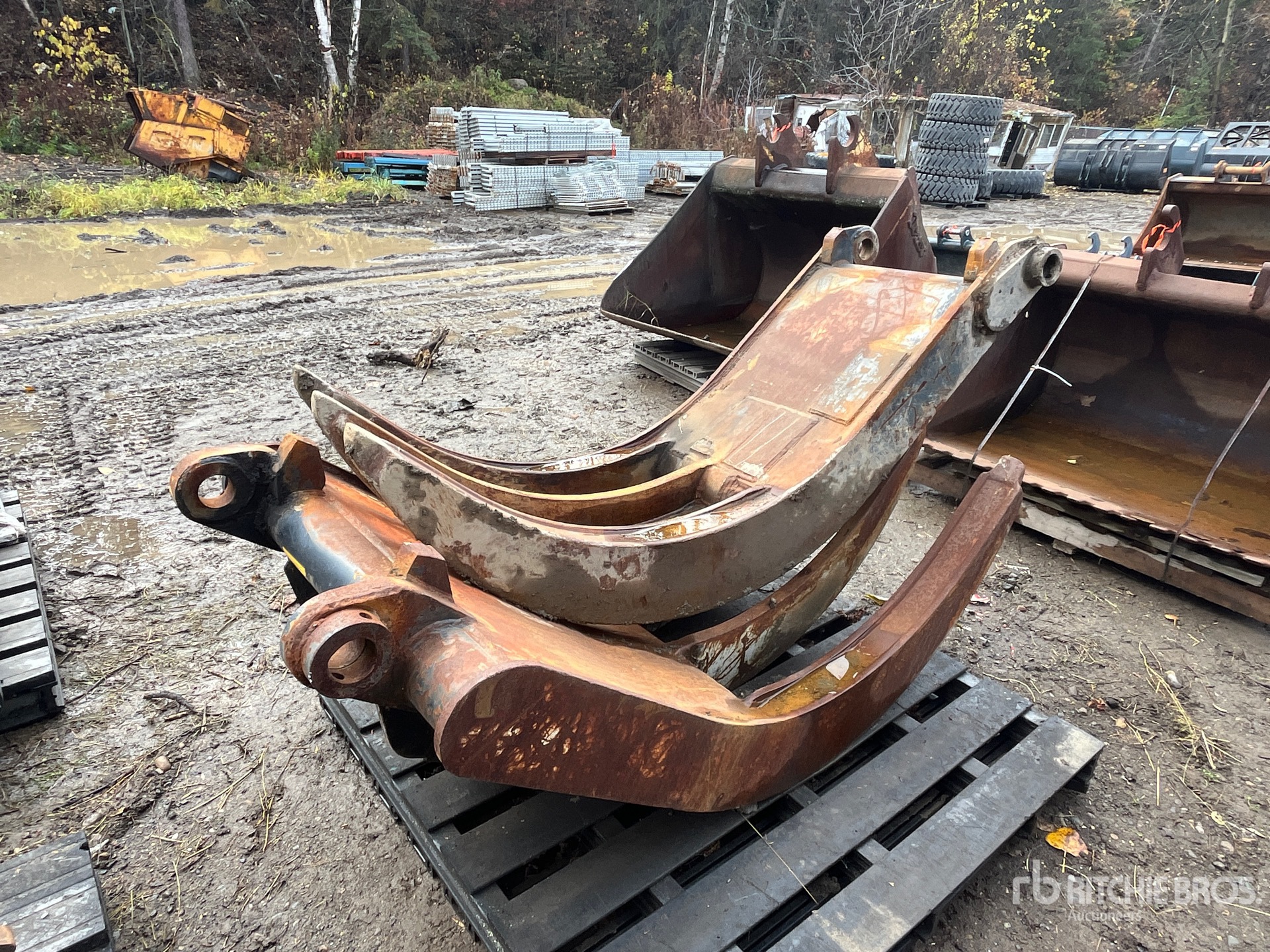 General Appearance with Zdjęcie, lewy dolny róg