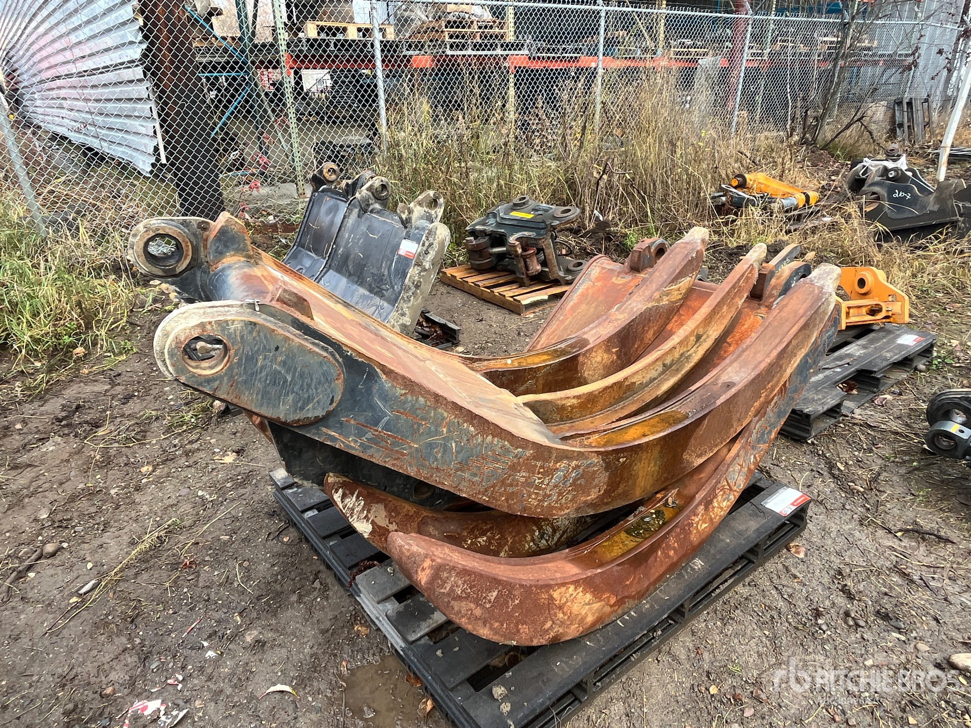 General Appearance with Zdjęcie, prawy górny róg