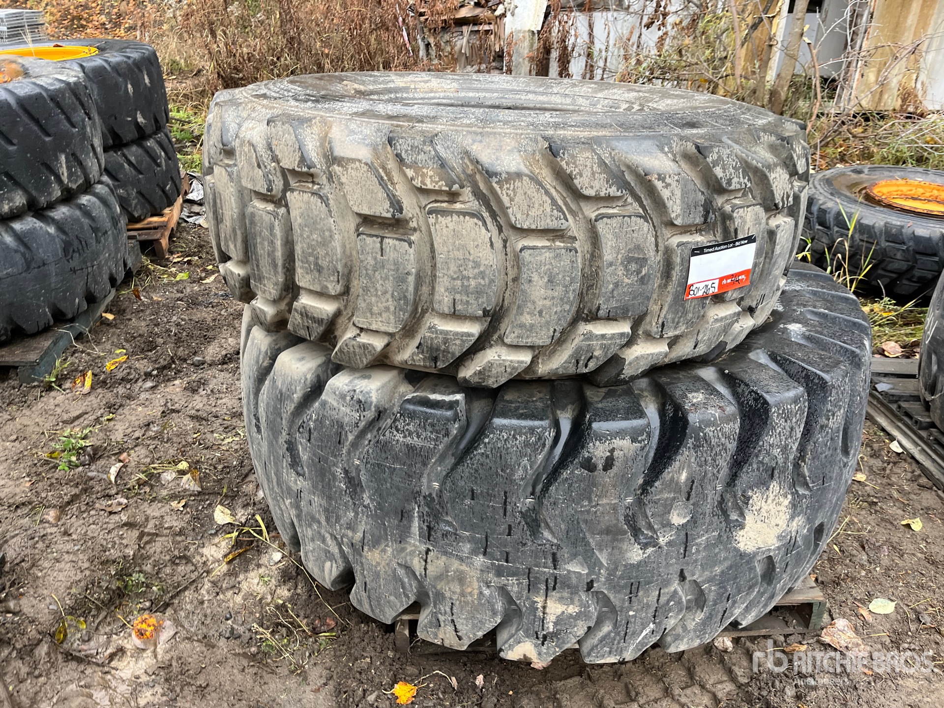 General Appearance with 