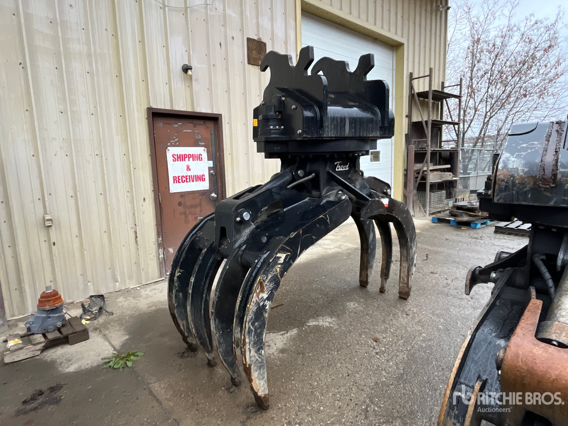 General Appearance with Zdjęcie, prawy górny róg