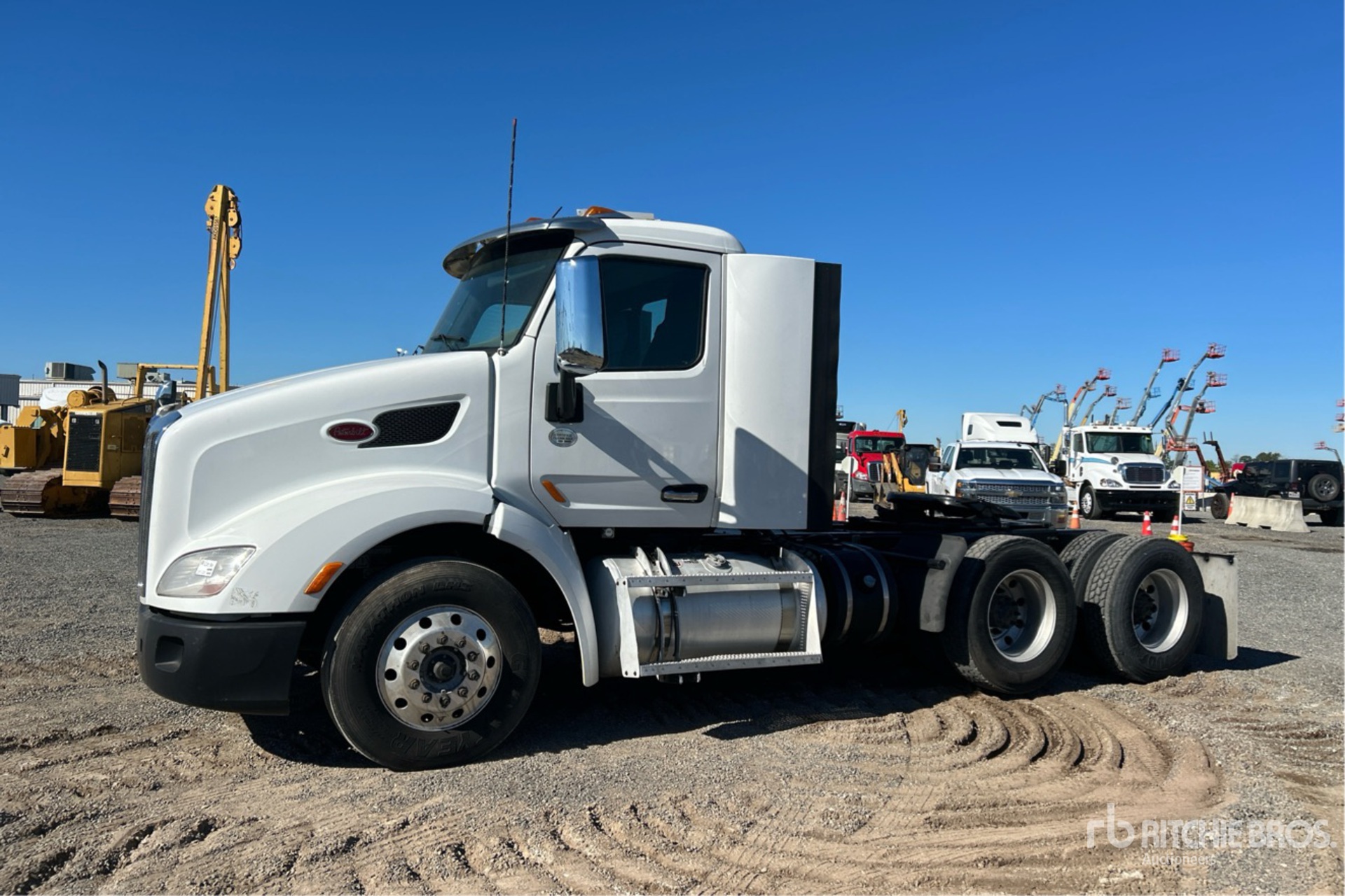 General Appearance with Spin