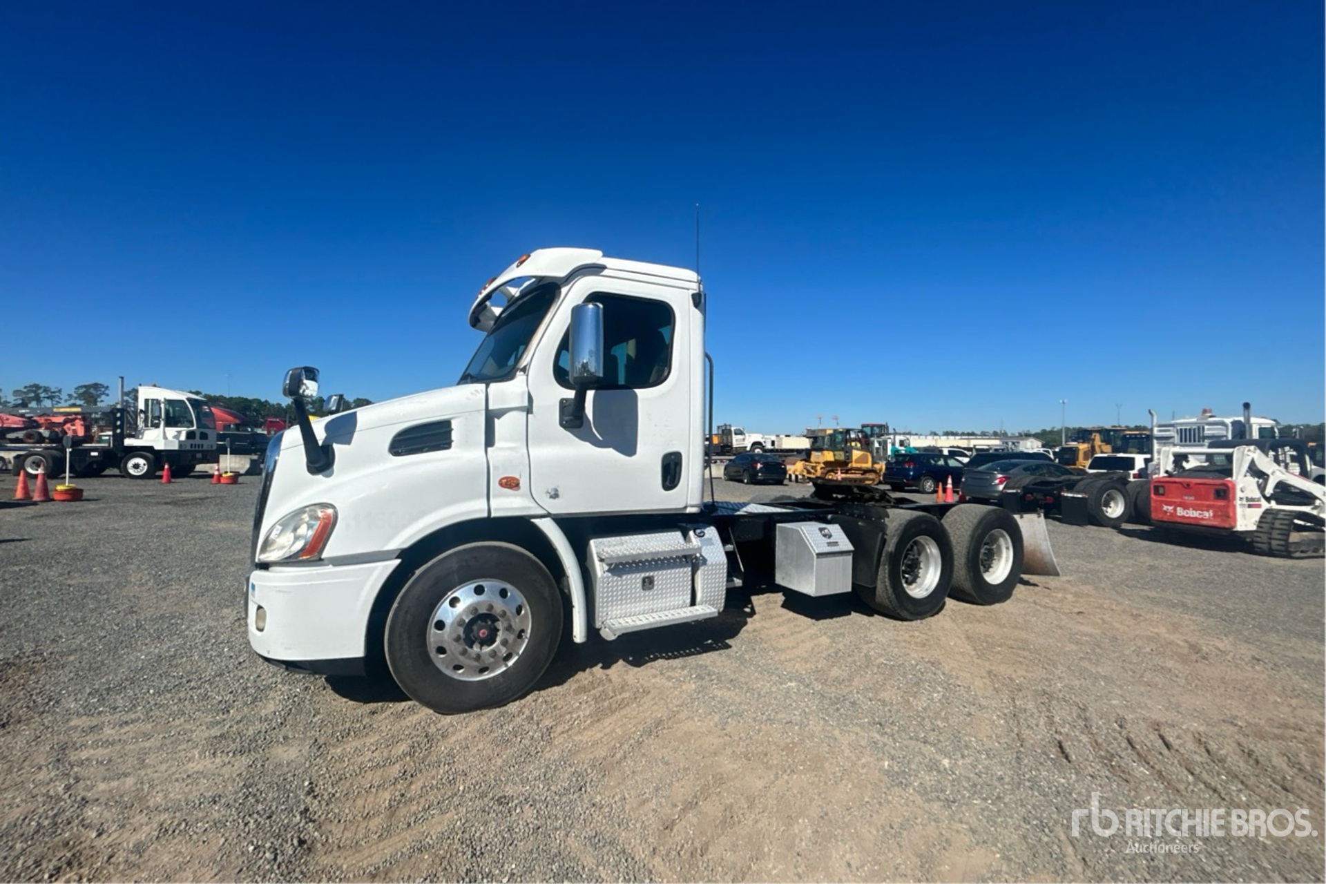 General Appearance with Spin