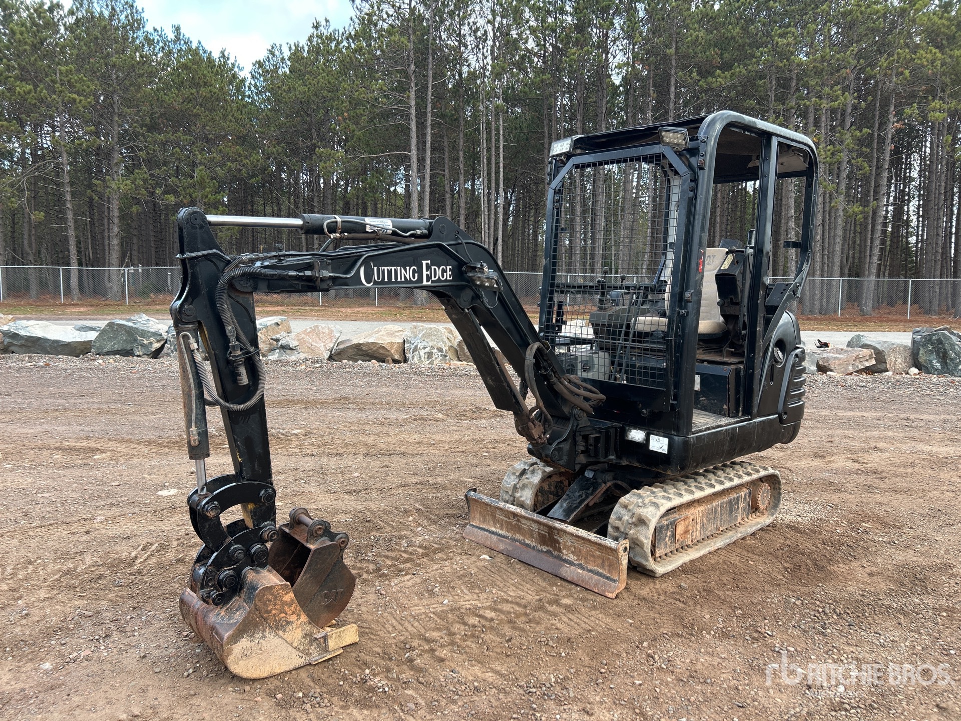 General Appearance with Spin