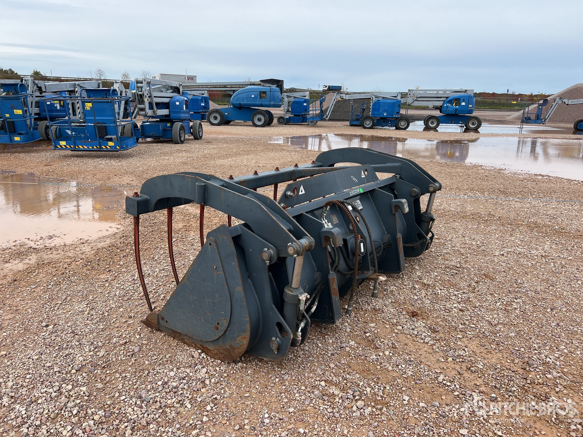 General Appearance with