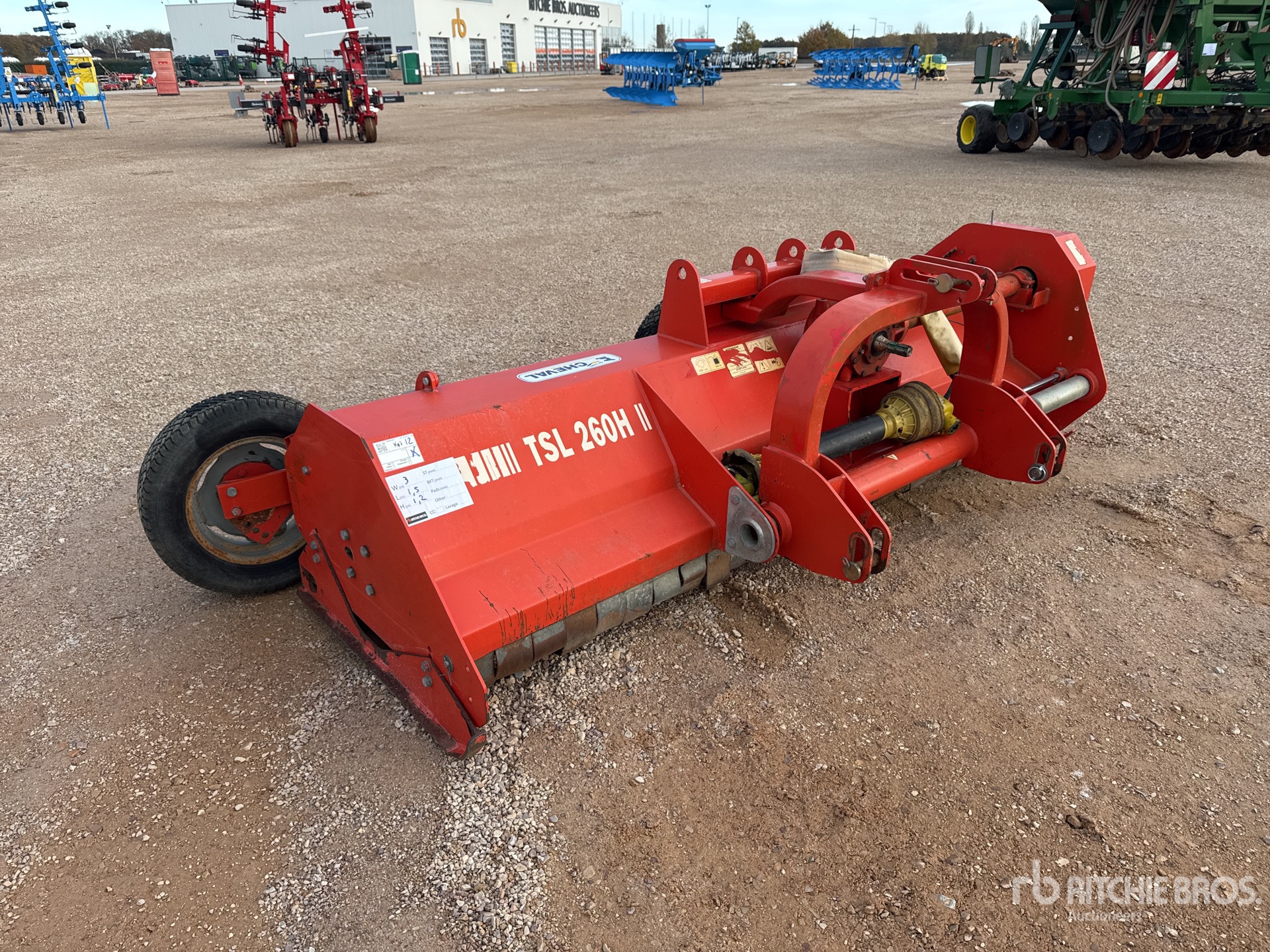 General Appearance with 