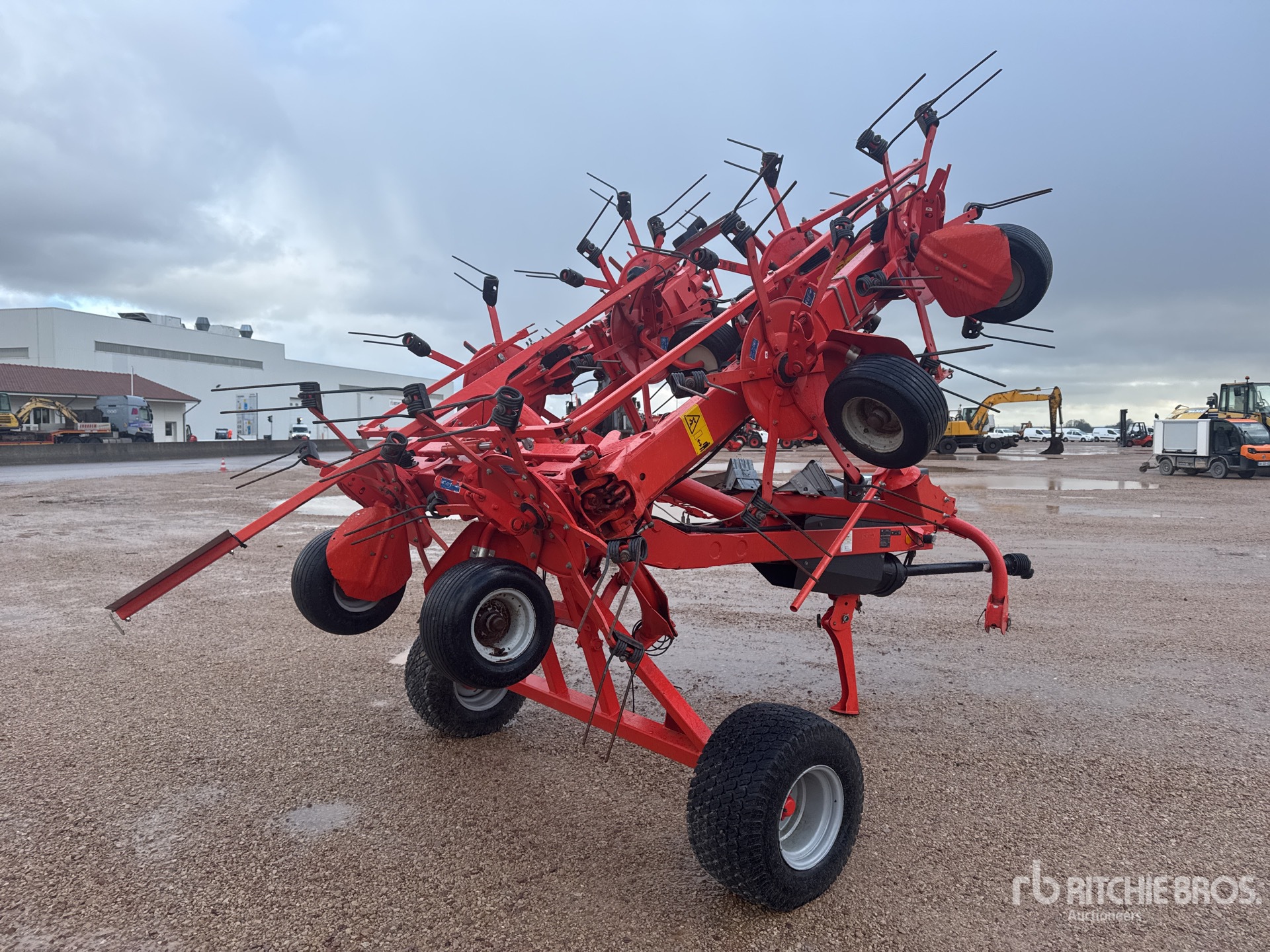 General Appearance with 