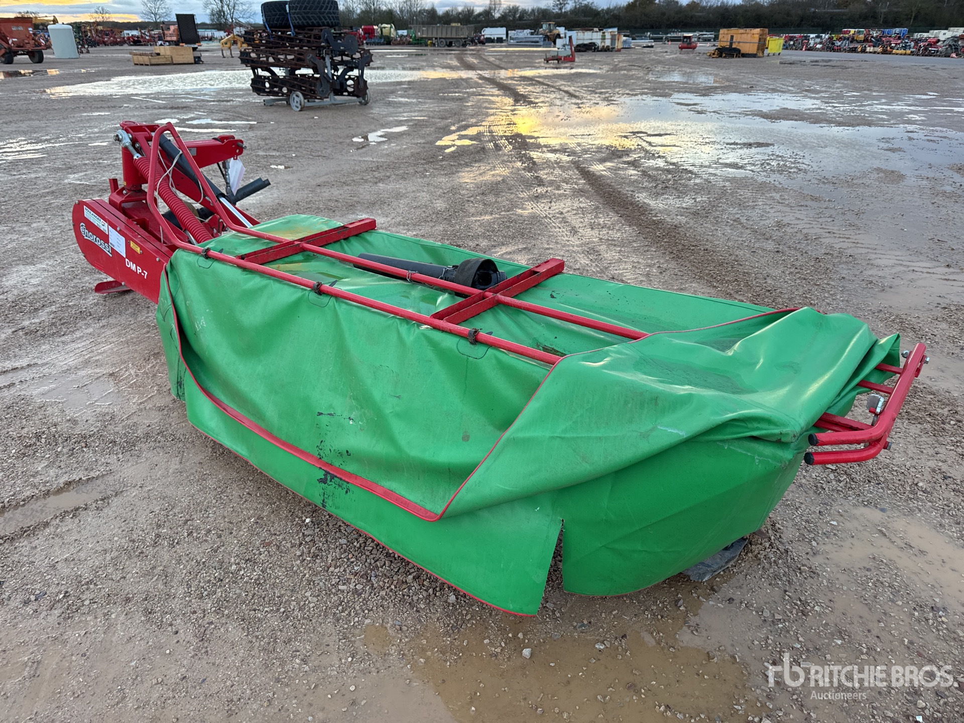 General Appearance with 