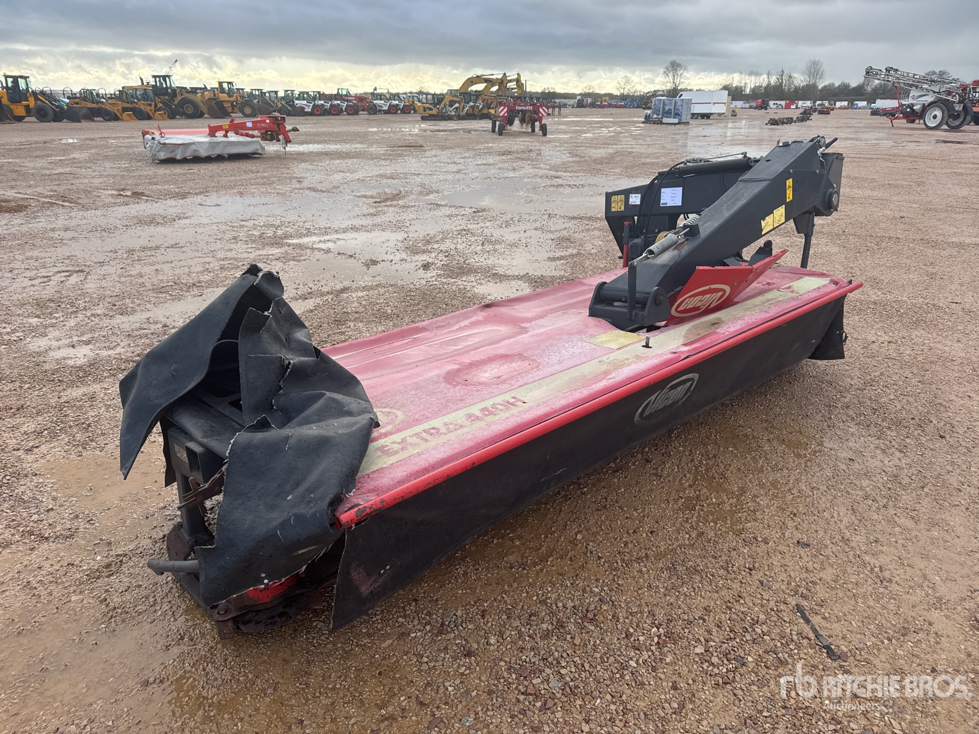 General Appearance with 