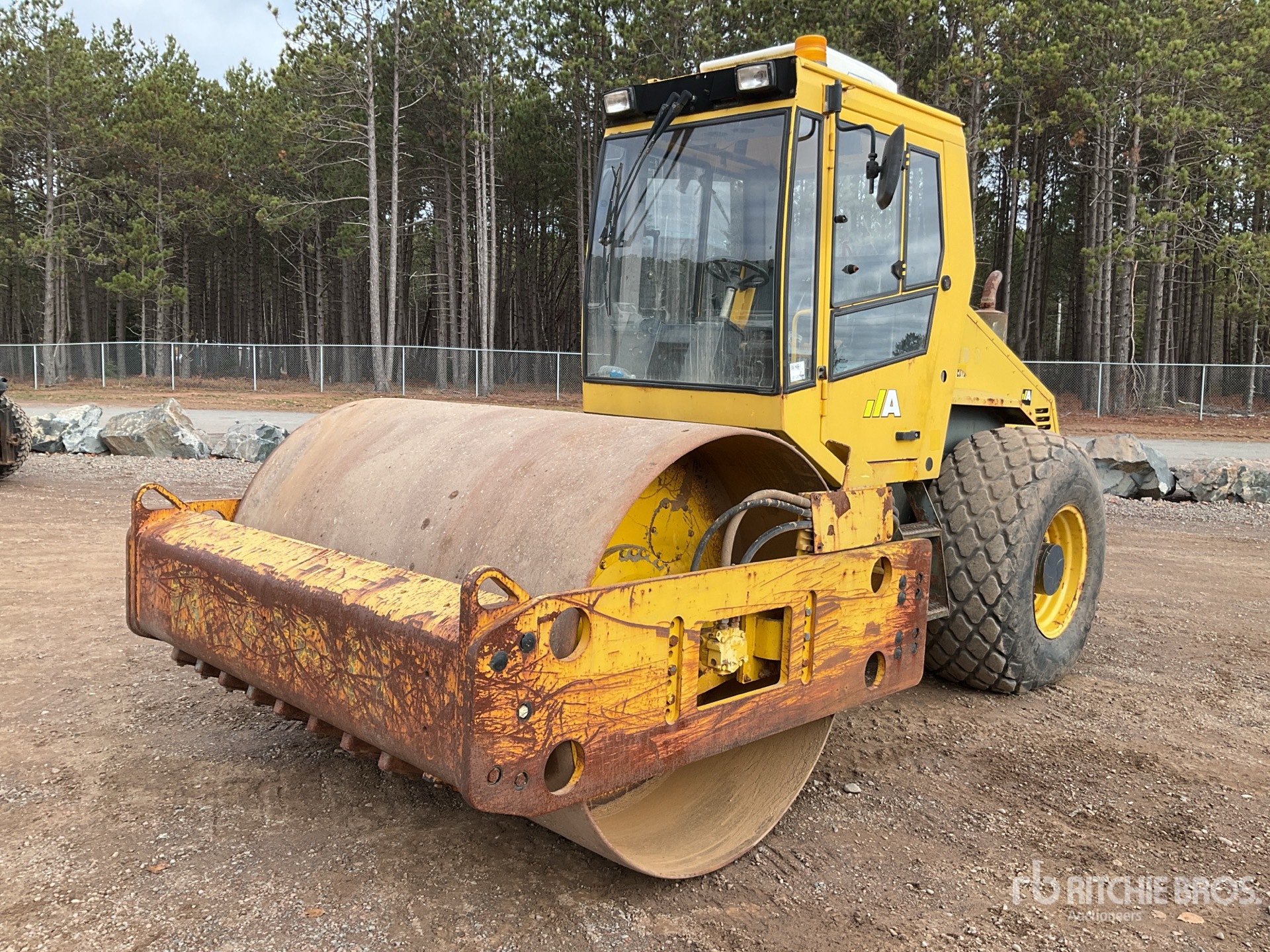 General Appearance with Spin