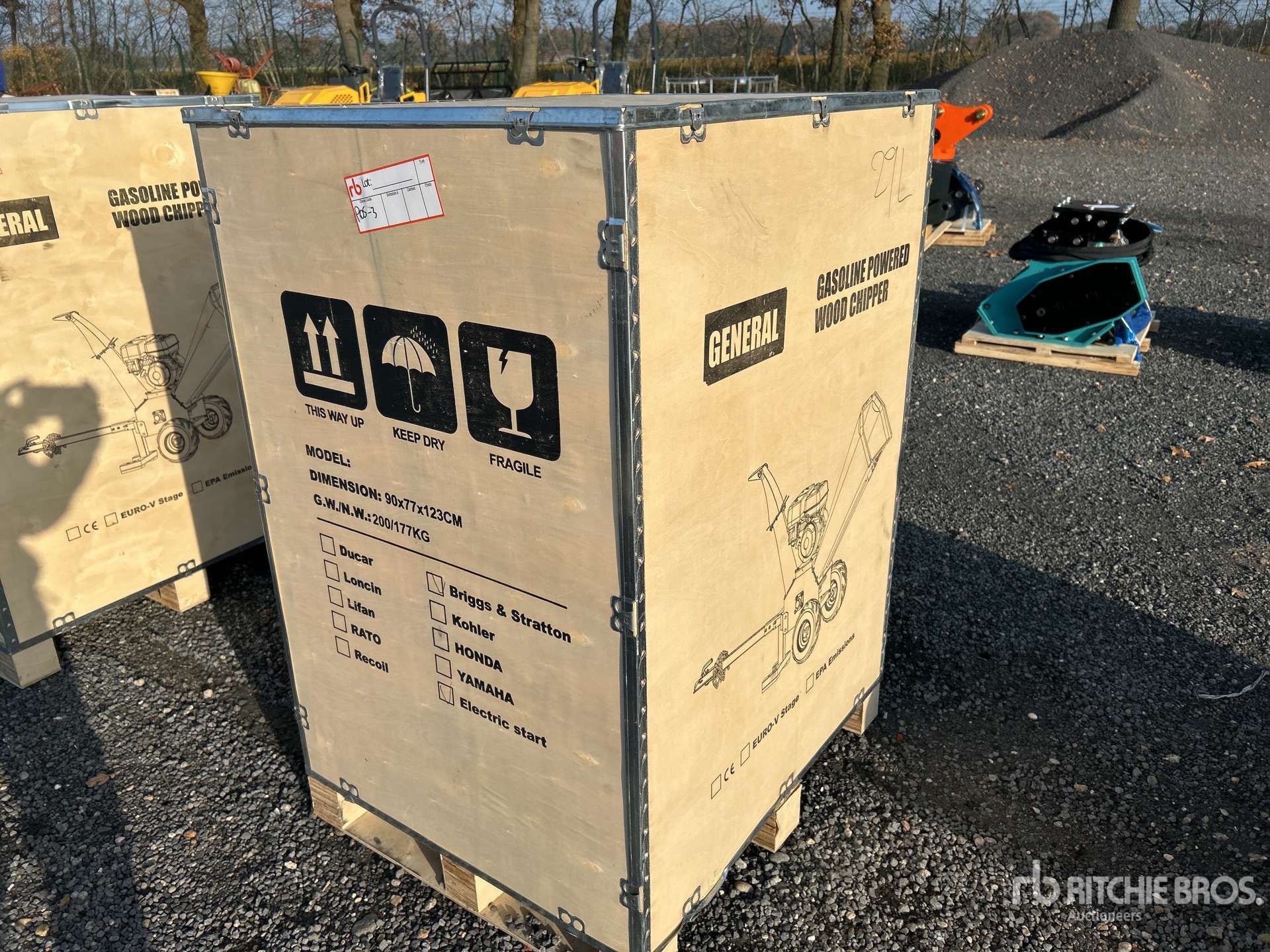 General Appearance with