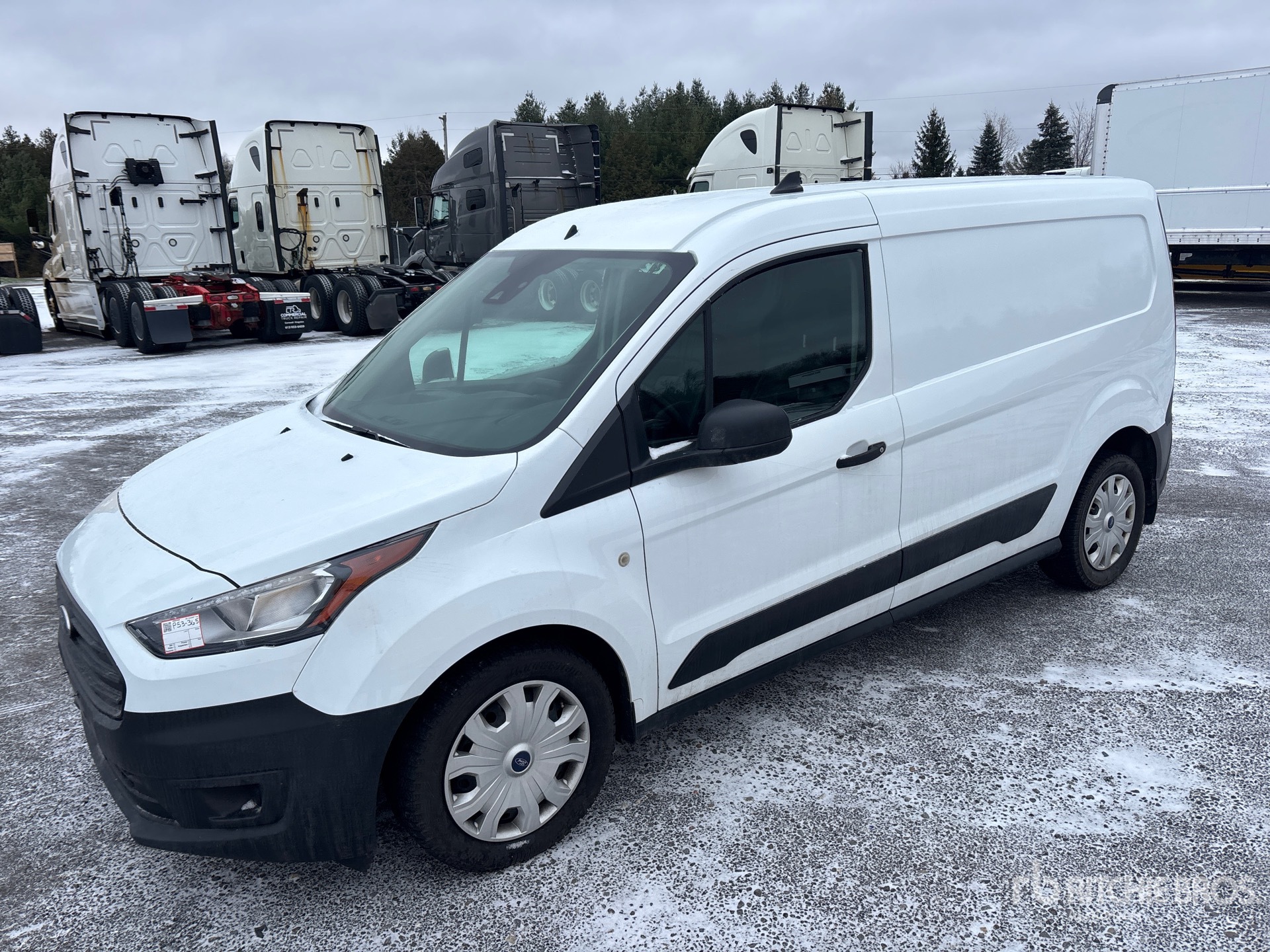 General Appearance with Spin