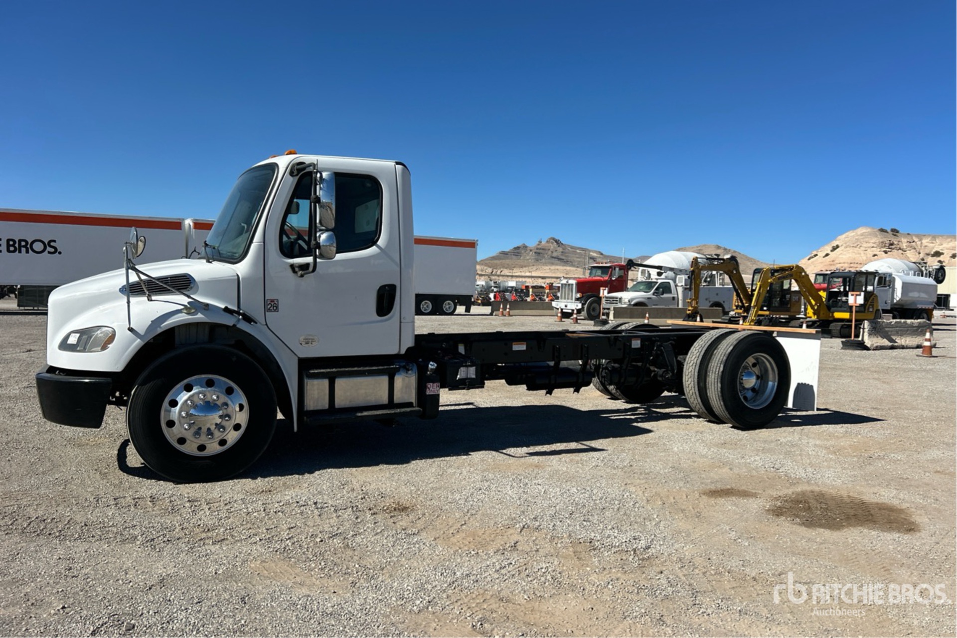 General Appearance with Spin