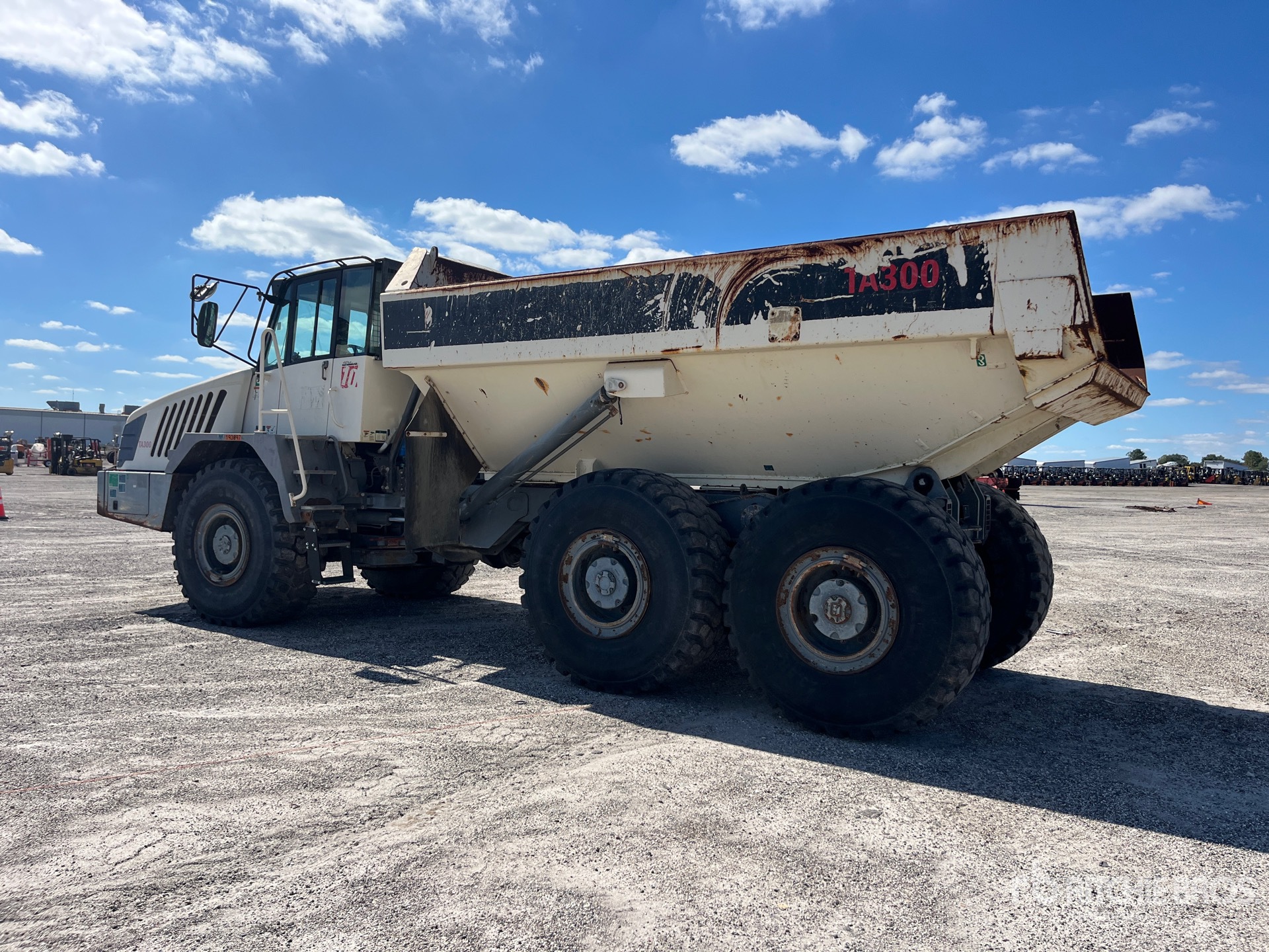 General Appearance with Zdjęcie, lewy dolny róg