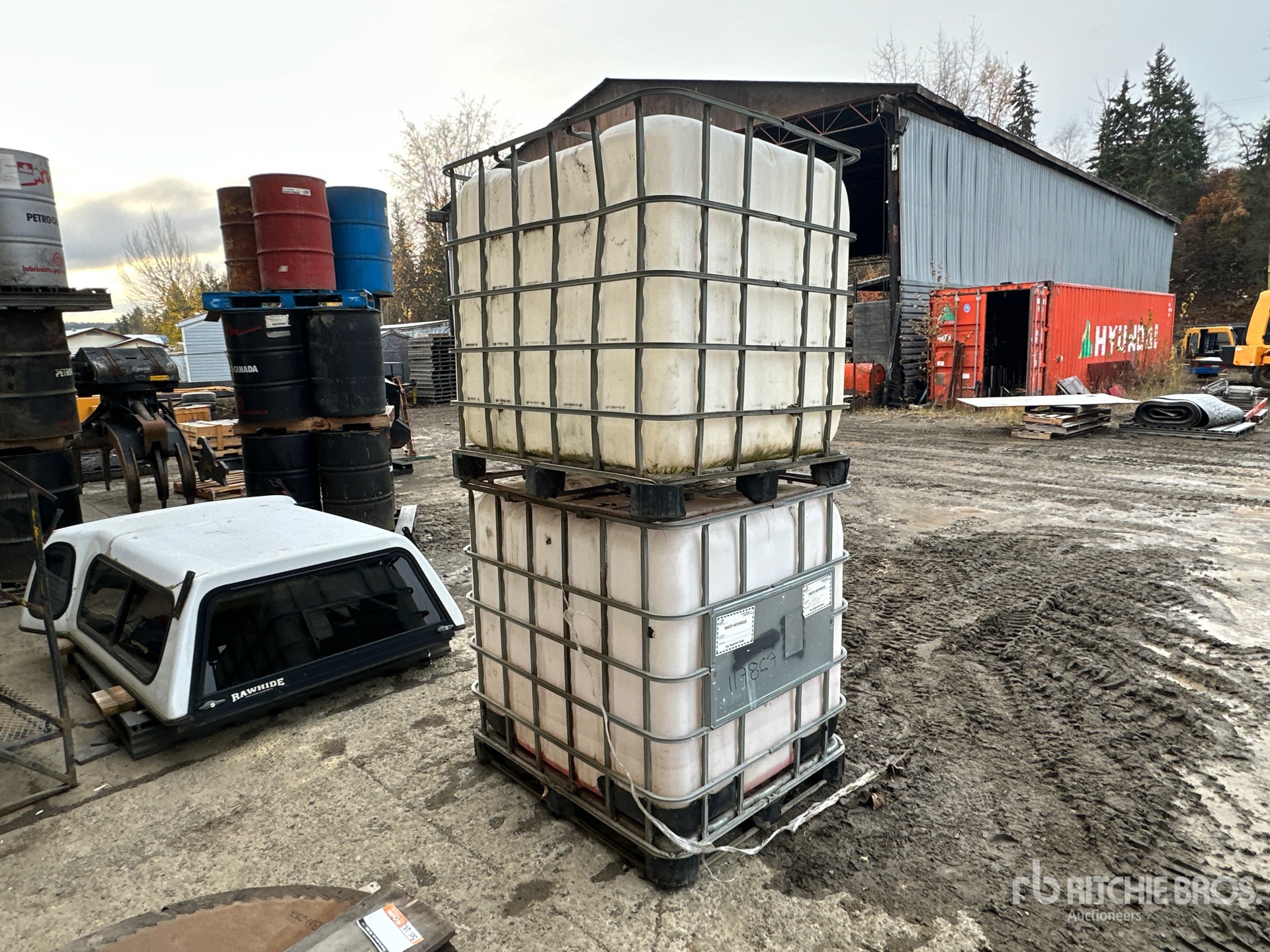 General Appearance with