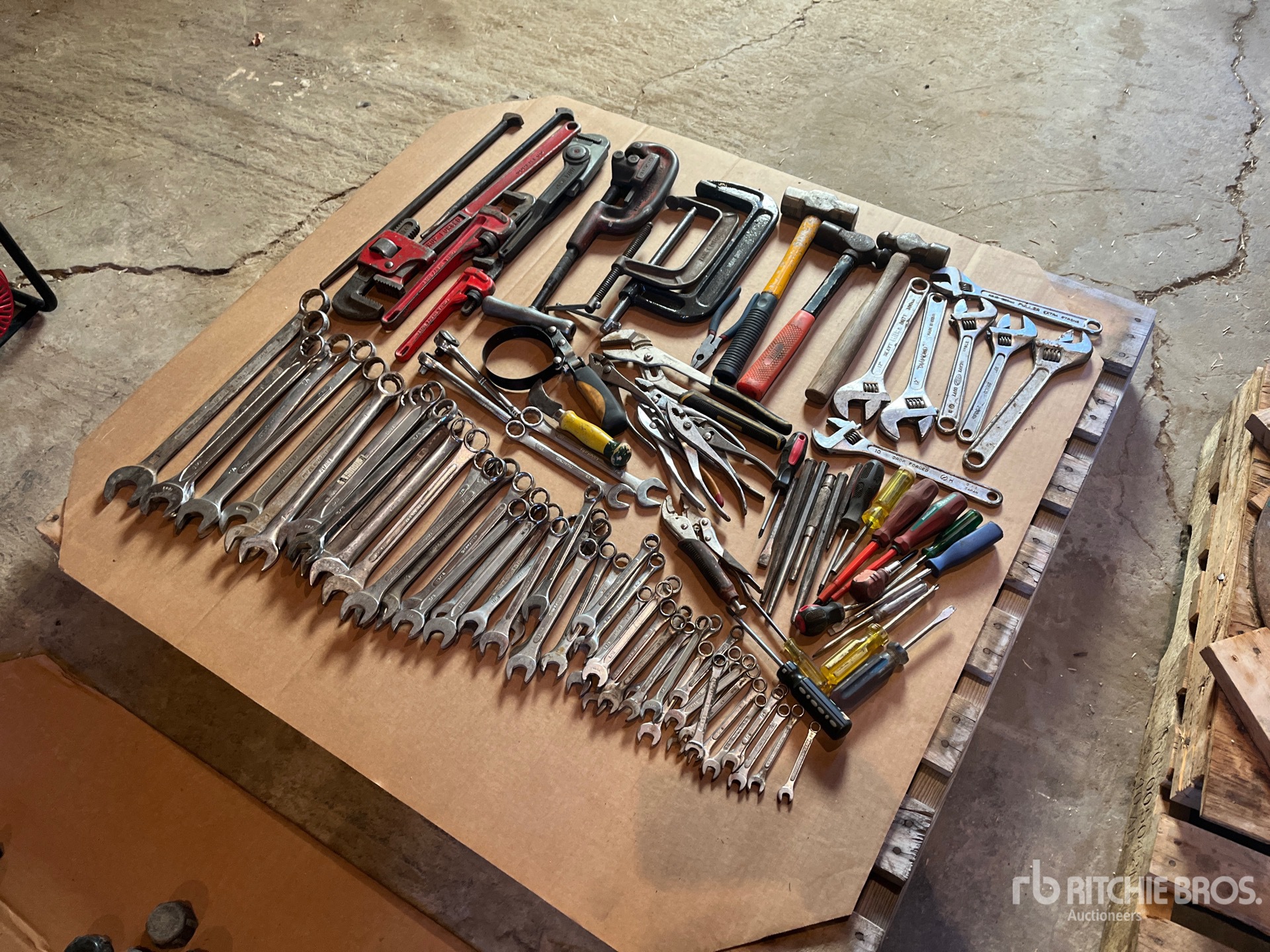 General Appearance with 