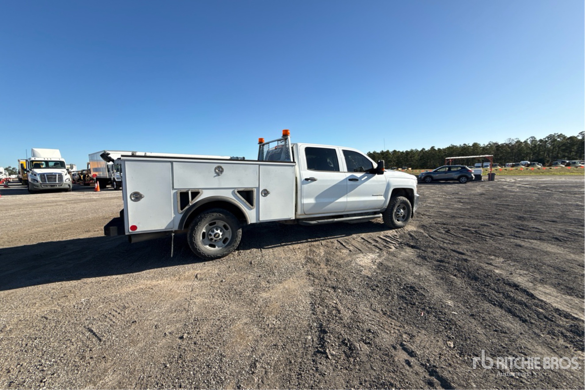 General Appearance with Zdjęcie, prawy dolny róg