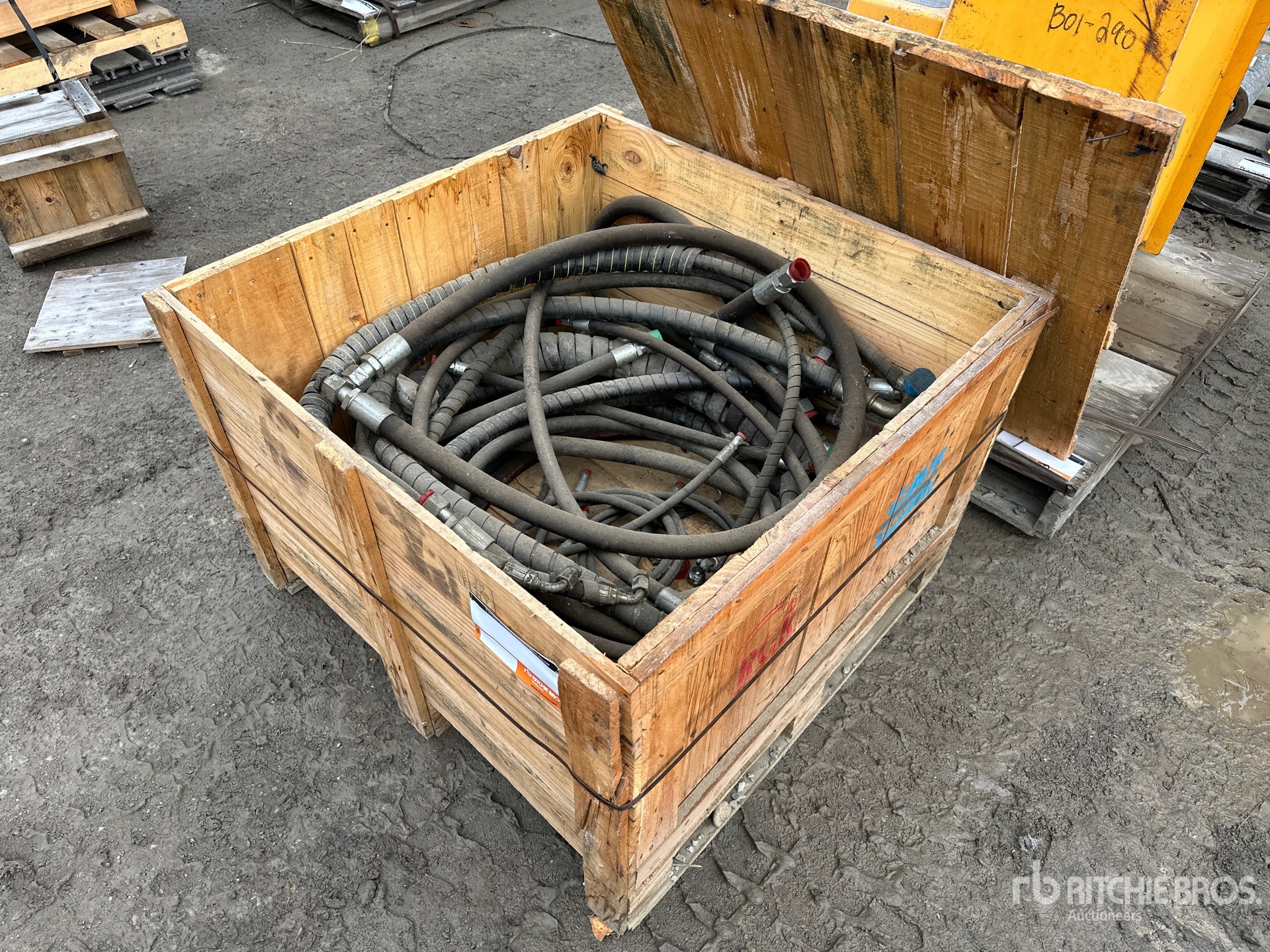 General Appearance with Zdjęcie, lewy górny róg