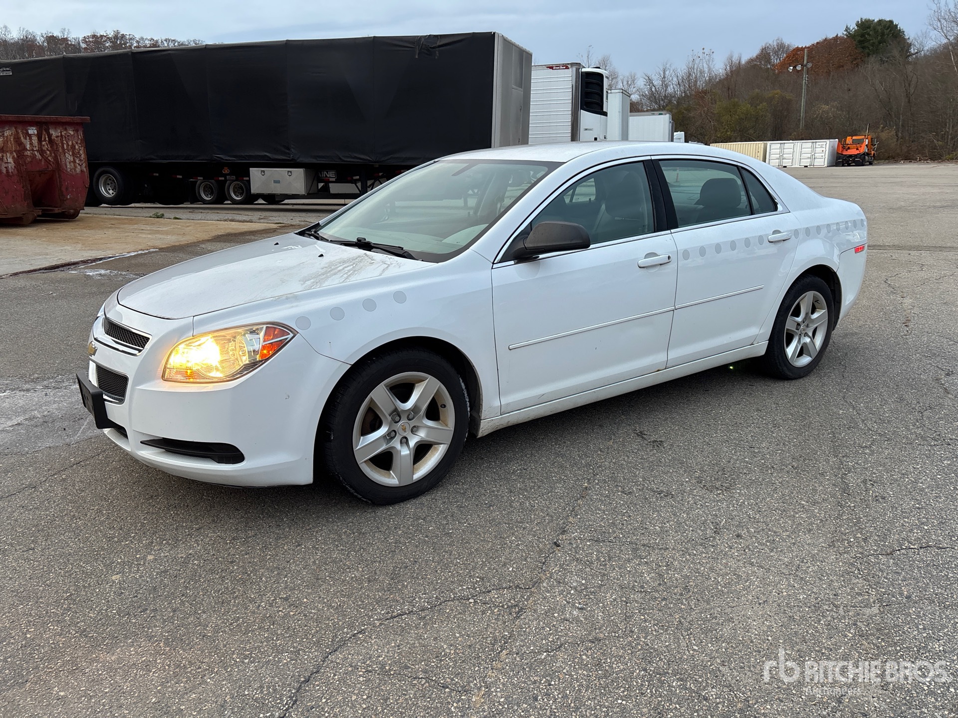 General Appearance with Spin