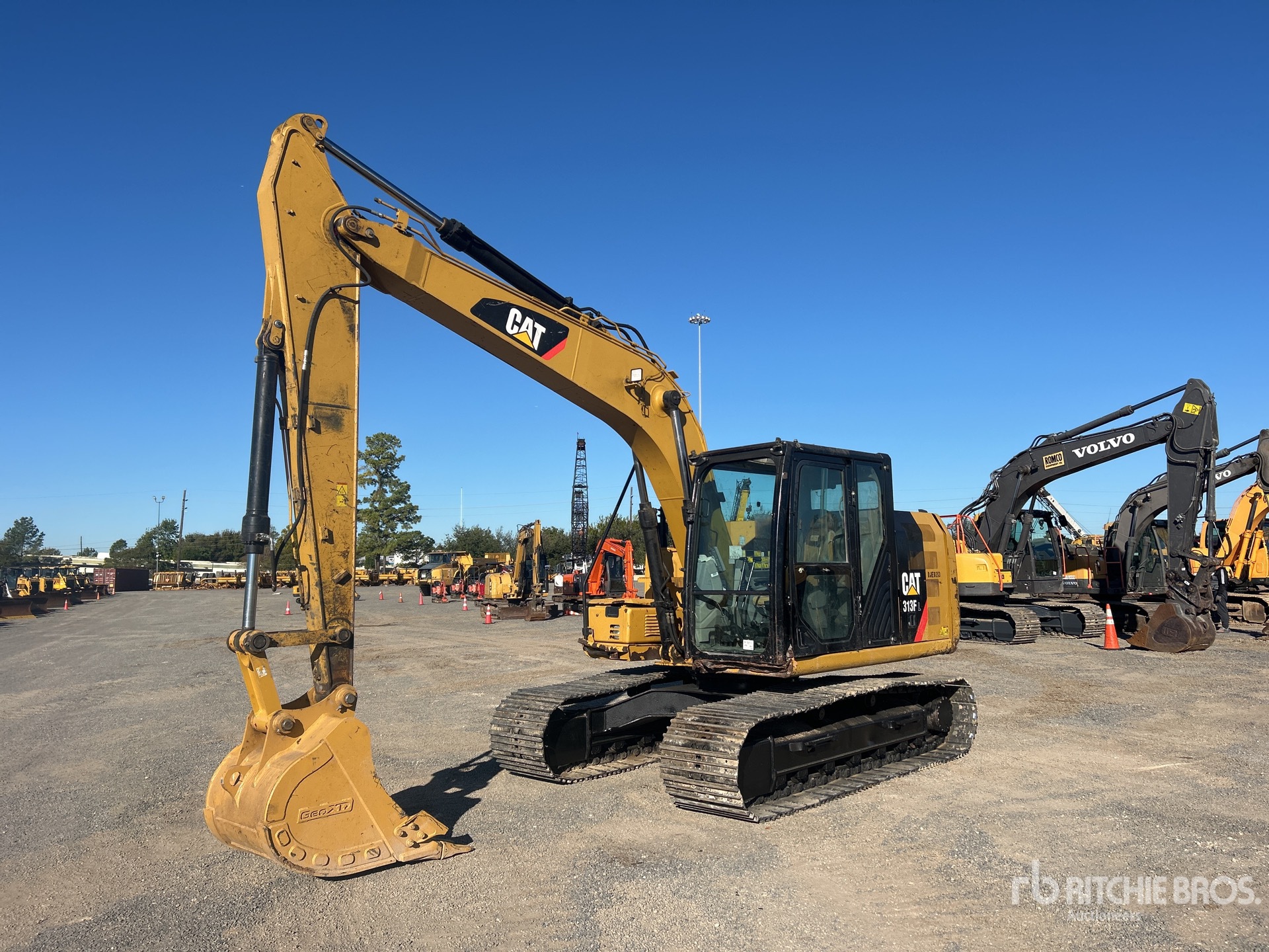 General Appearance with Spin