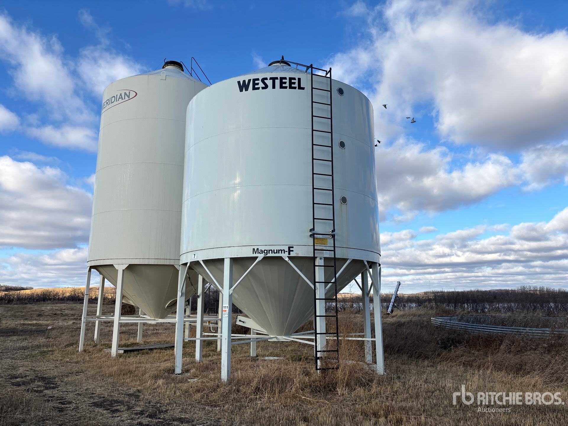 General Appearance with Zdjęcie, lewy górny róg