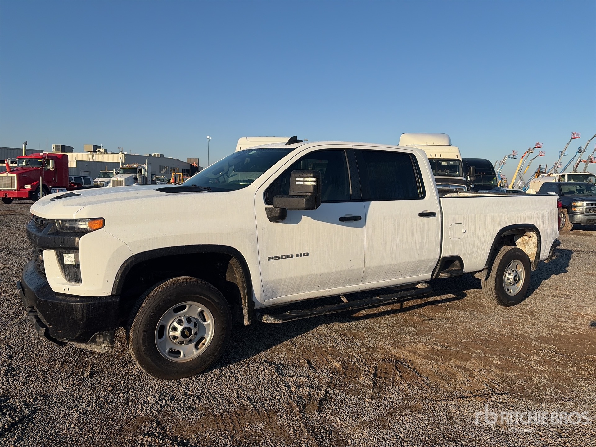 General Appearance with Spin