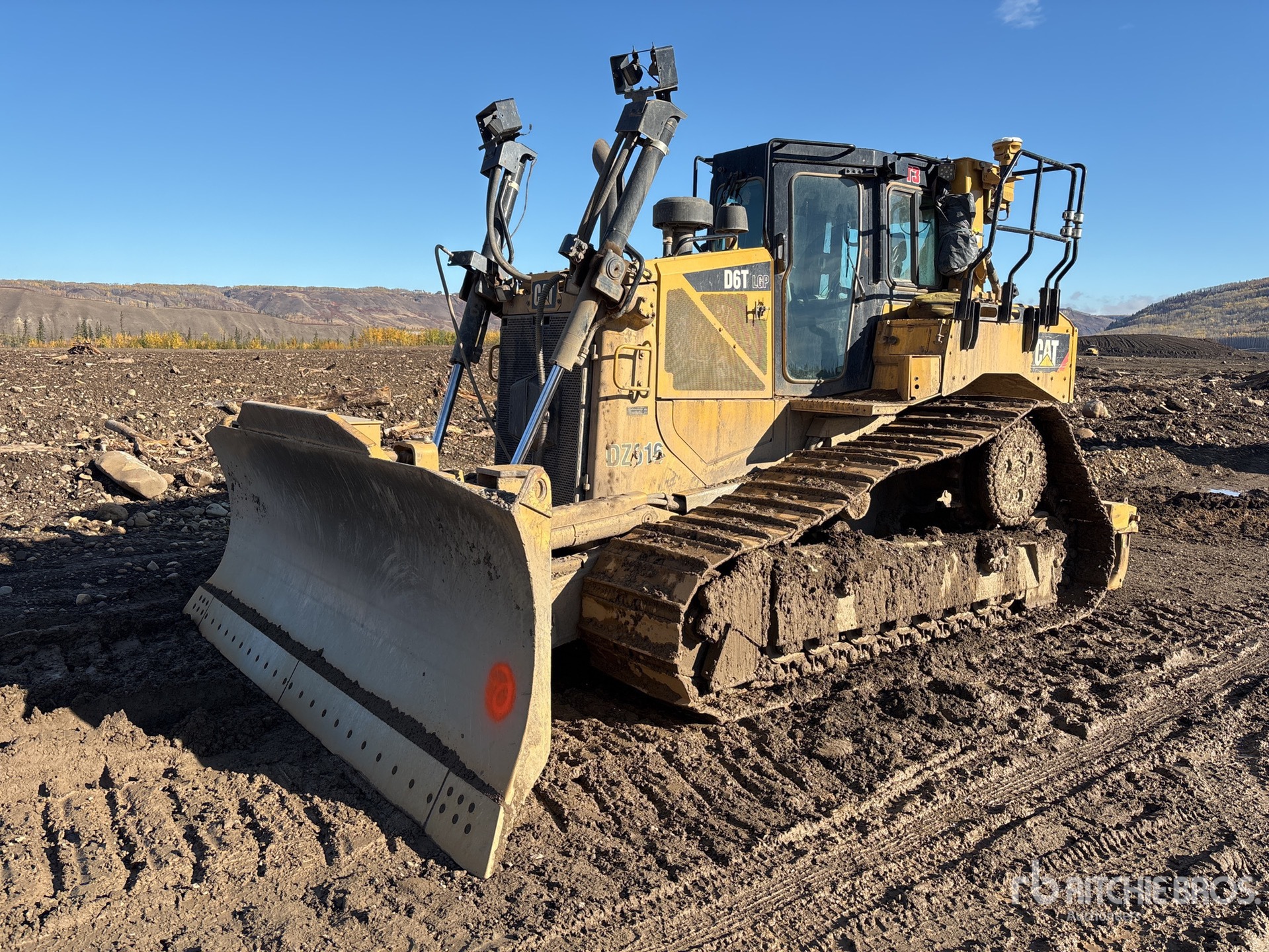 General Appearance with Featured Photo