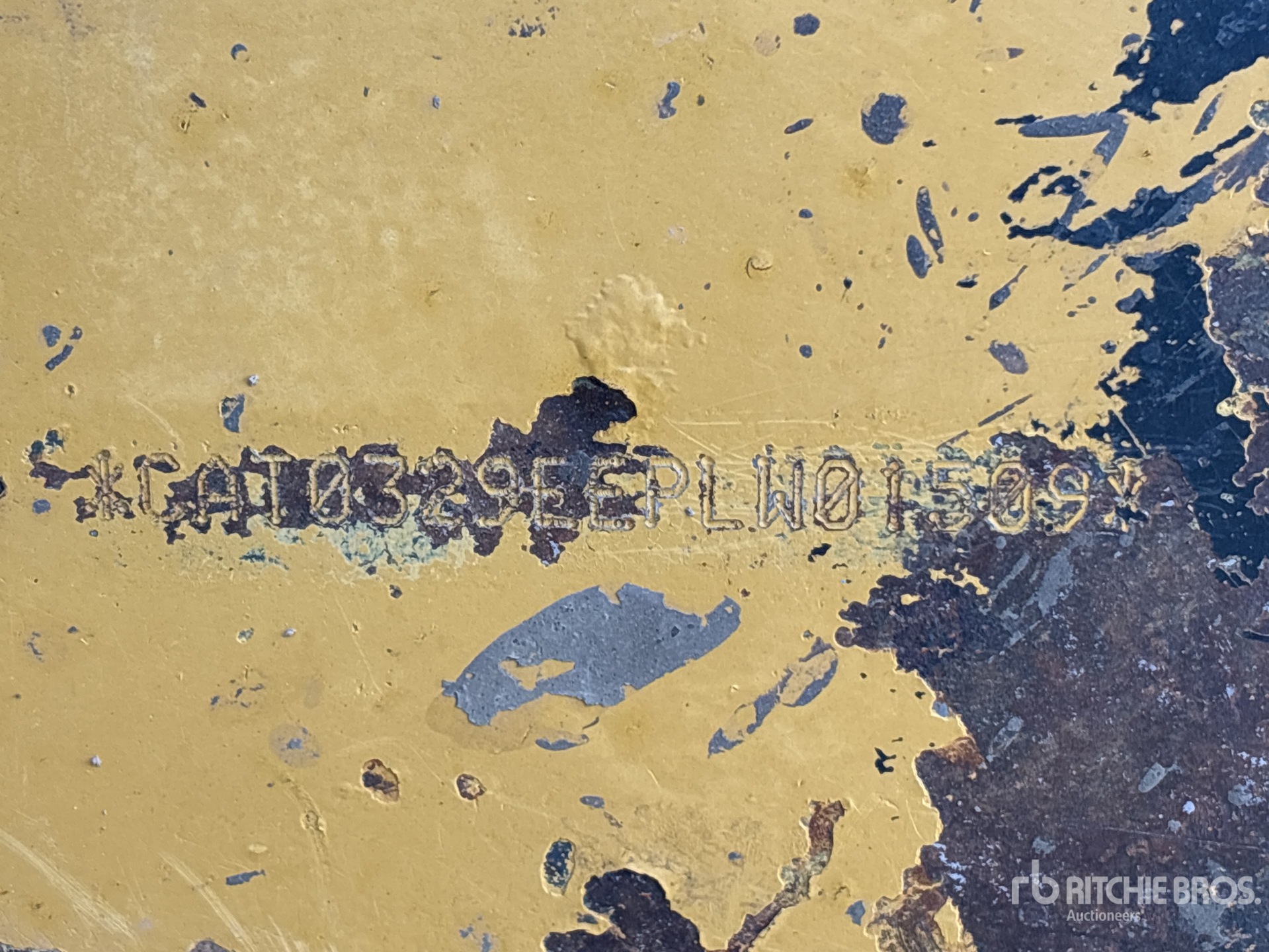 General Appearance with Numero seriale/numero d’identificazione del veicolo (VIN)