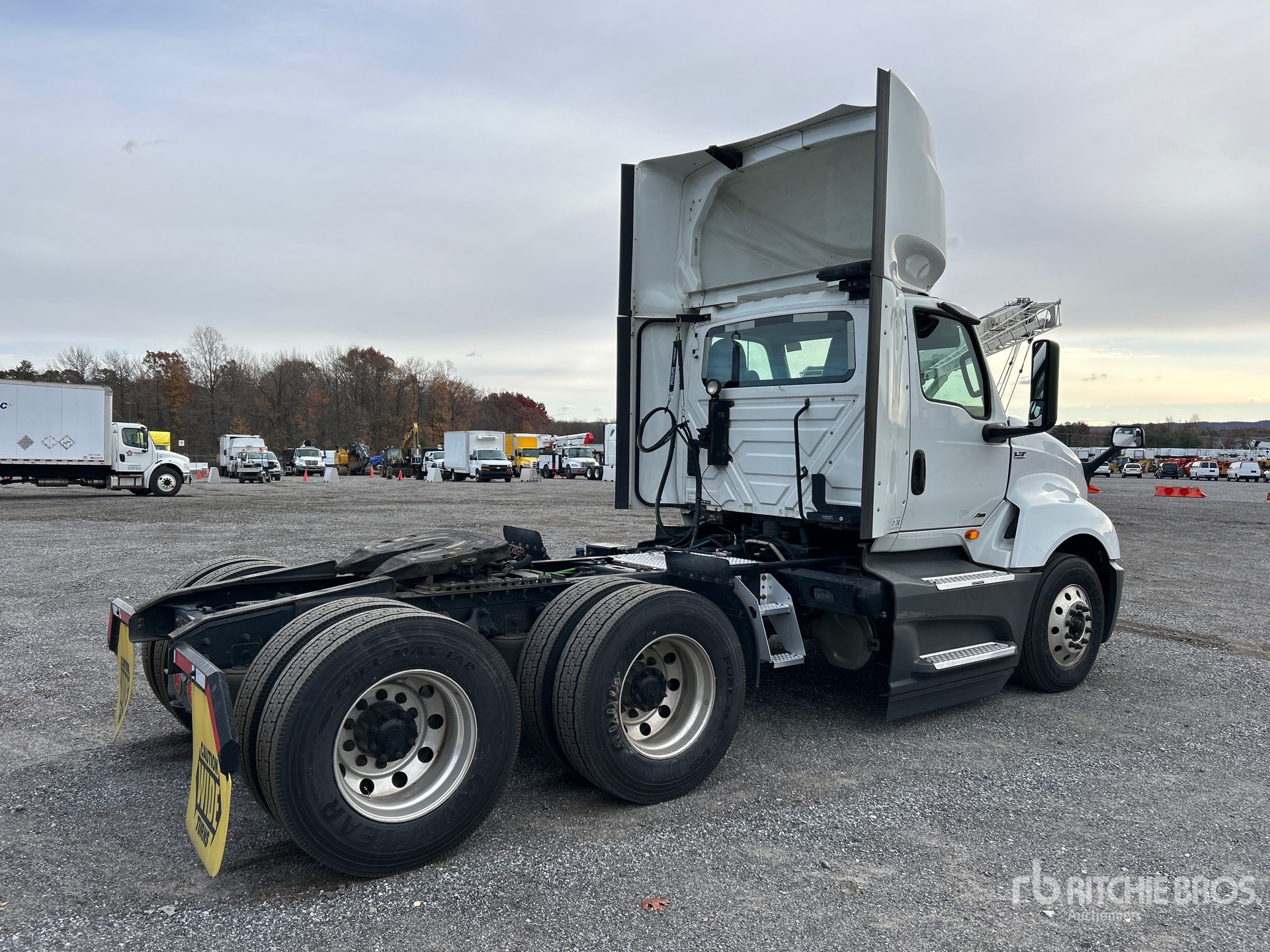 General Appearance with Zdjęcie, prawy dolny róg