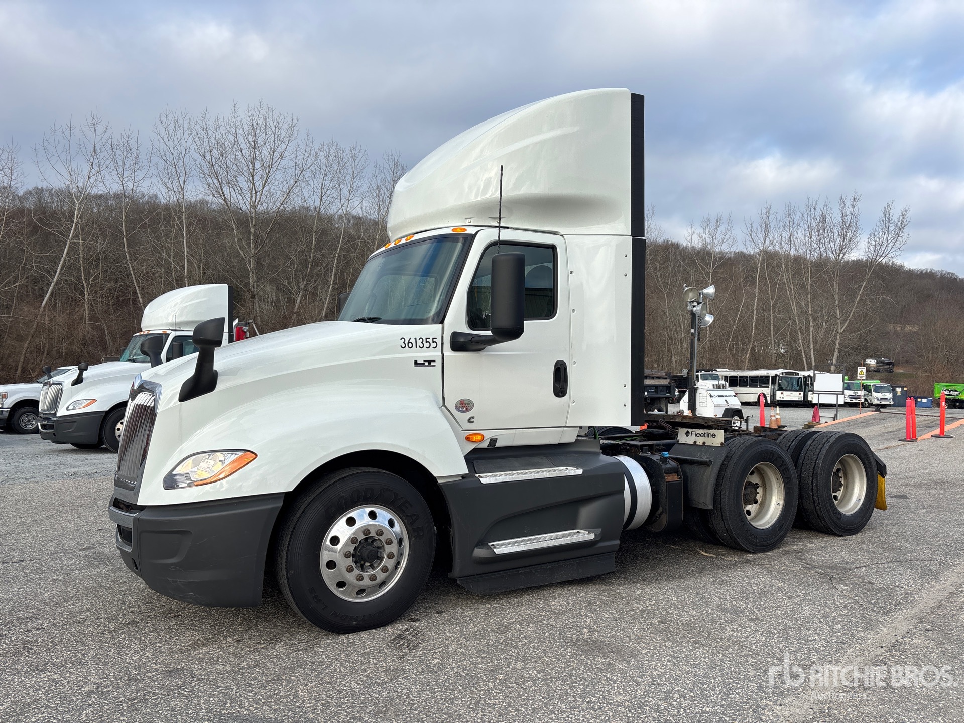 General Appearance with Spin