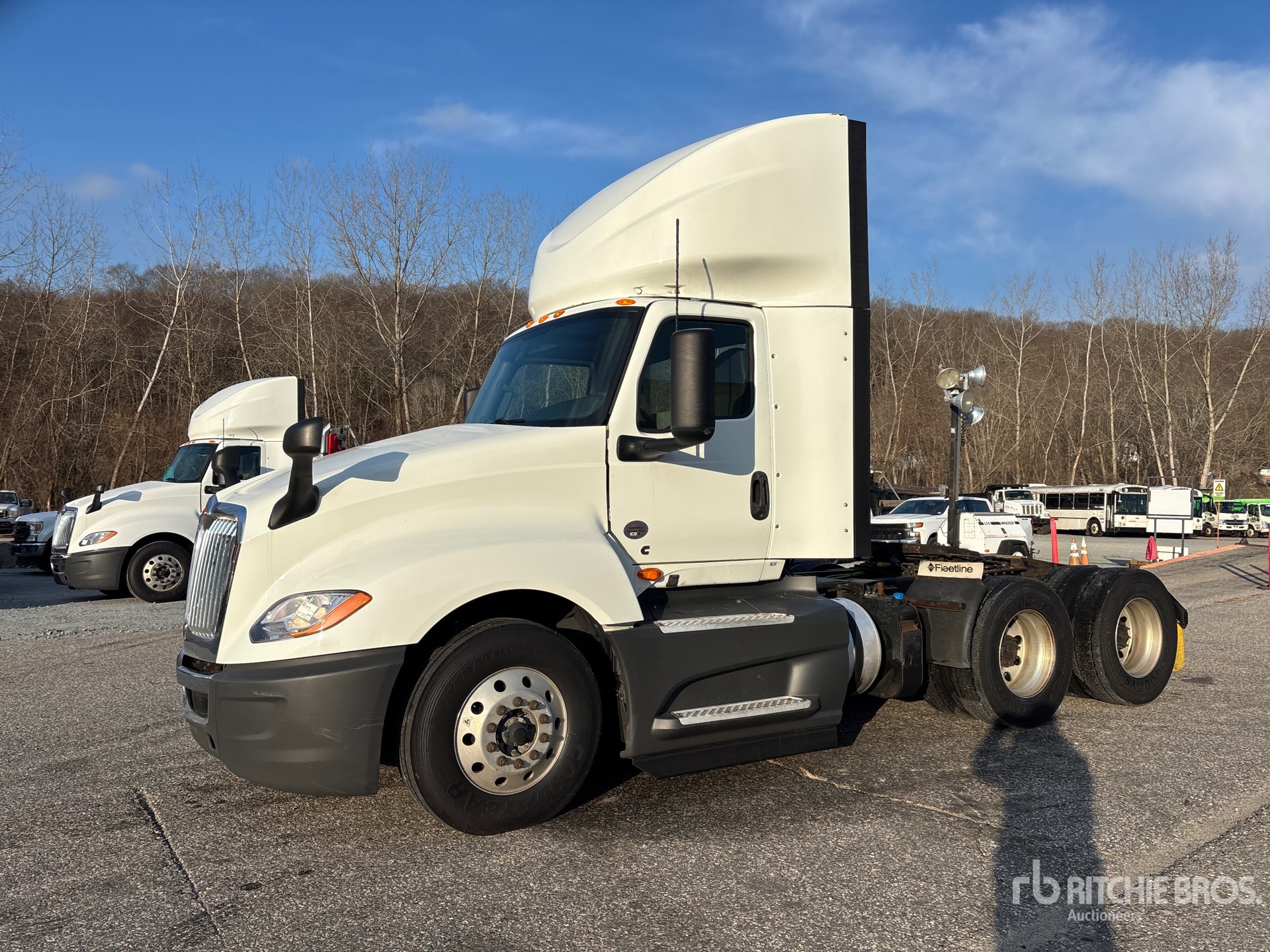 General Appearance with Spin