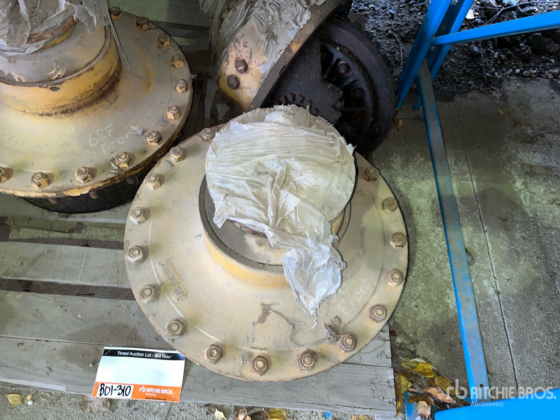 General Appearance with