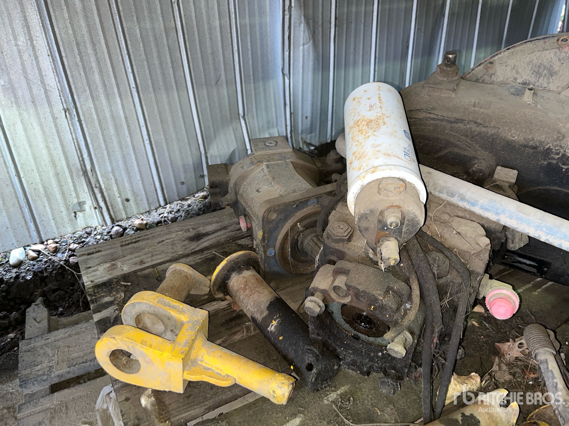 General Appearance with 