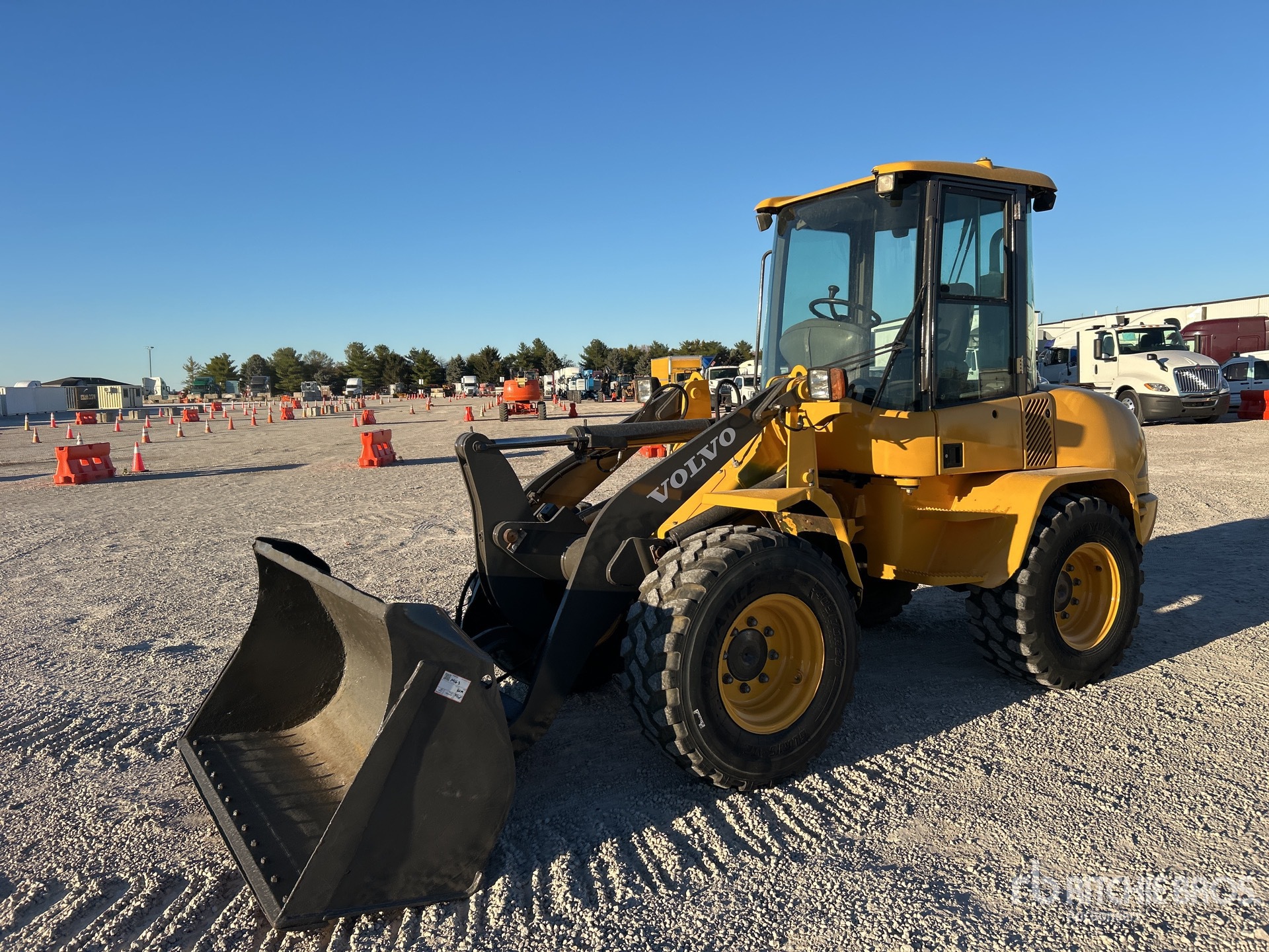 General Appearance with Spin