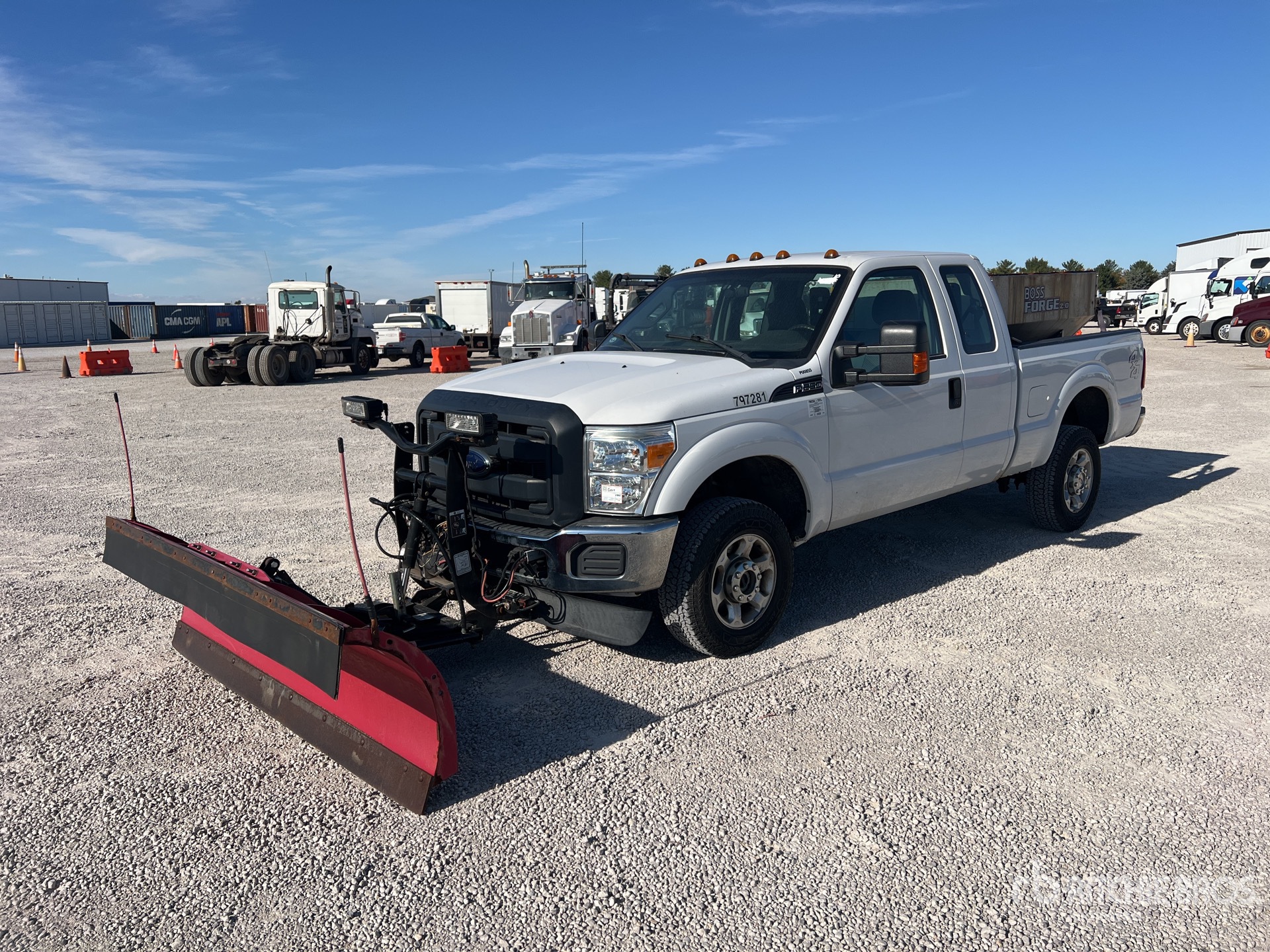 General Appearance with Spin