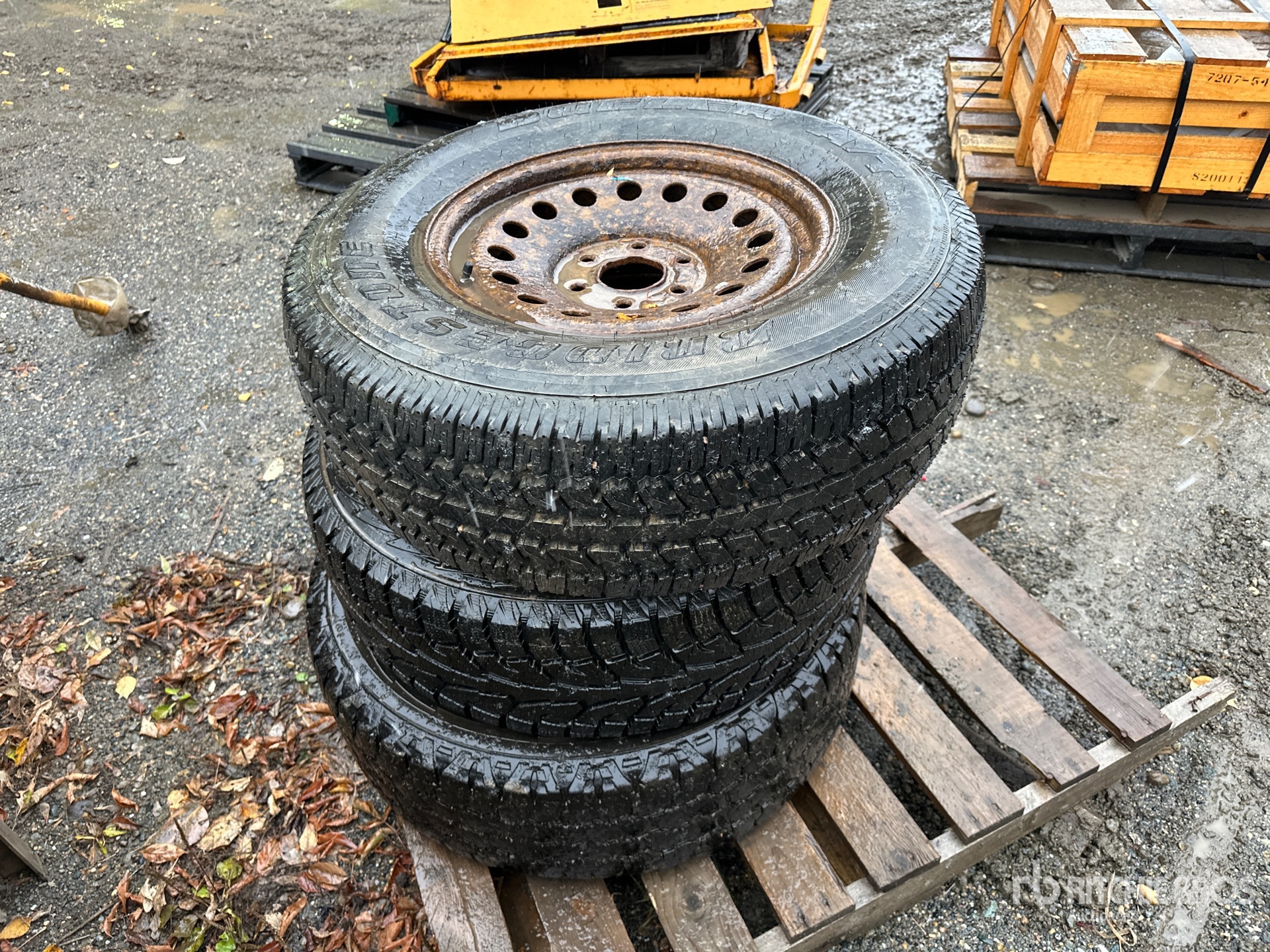 General Appearance with