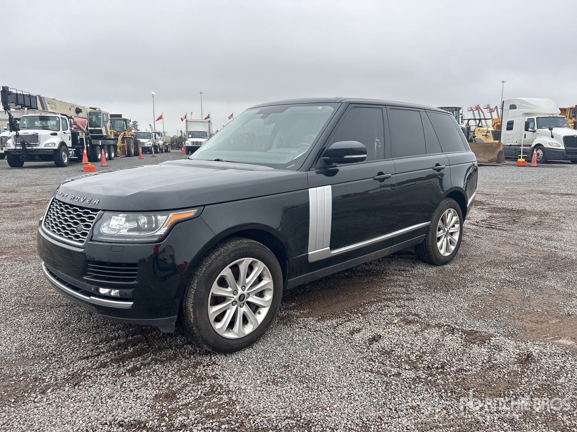 General Appearance with Spin