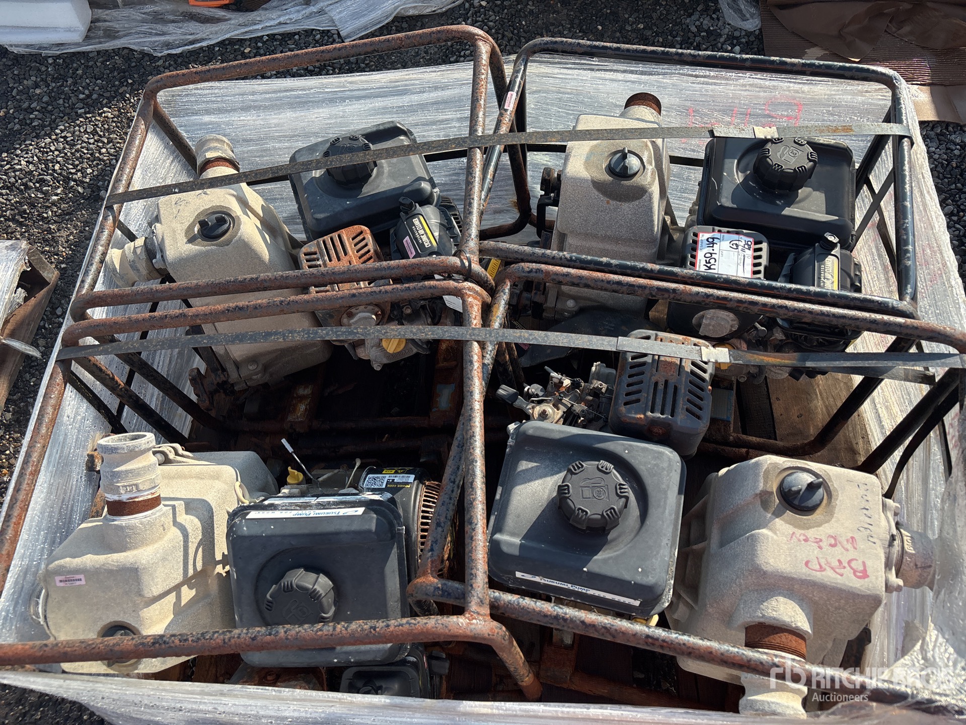 General Appearance with 